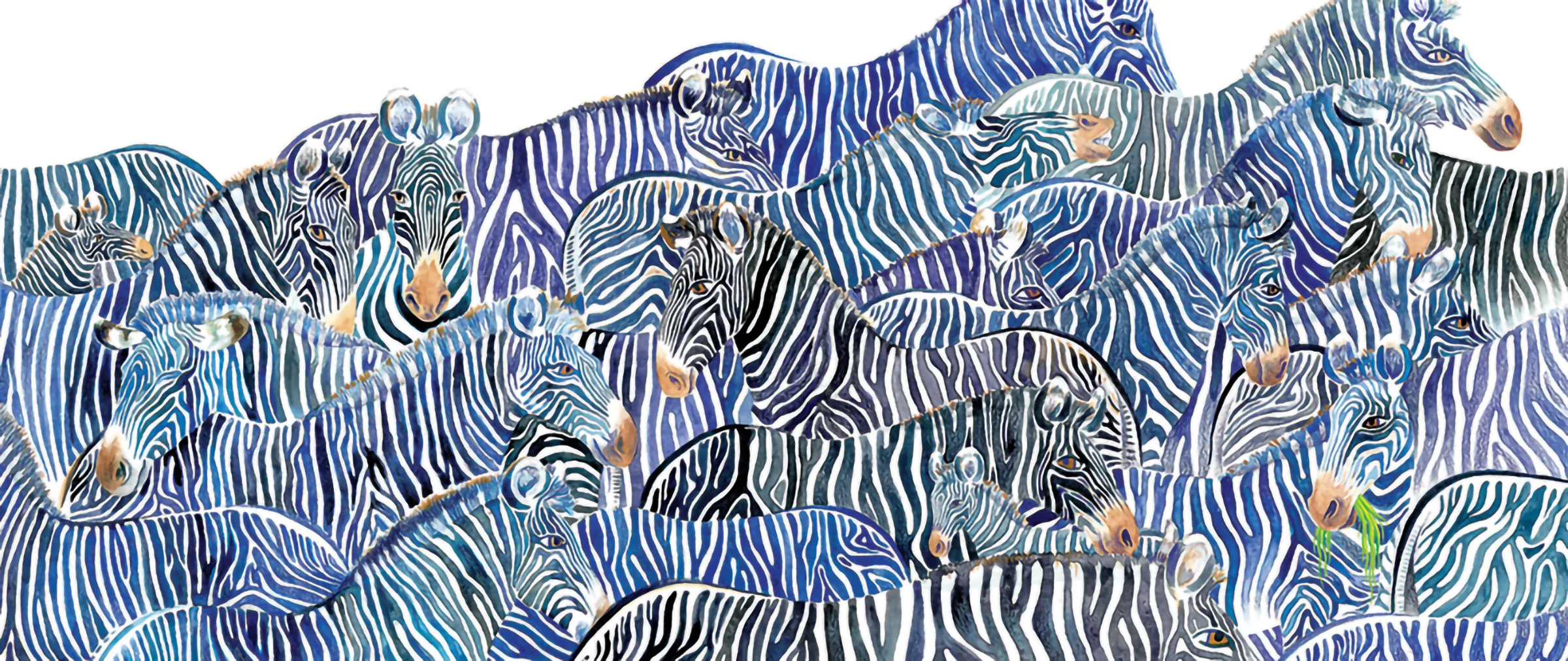 Zebras_web.jpg