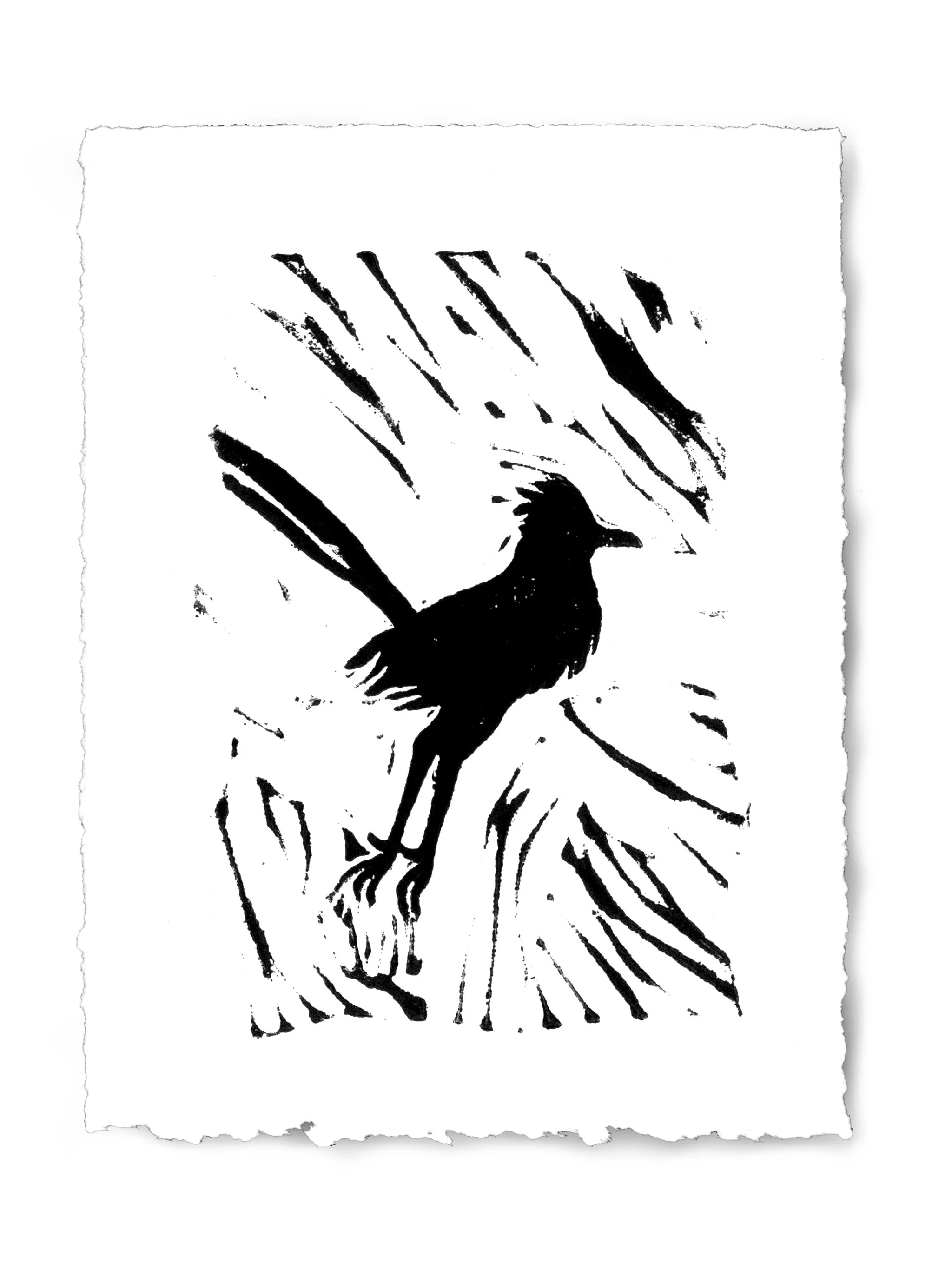 roadrunner_block print.jpg
