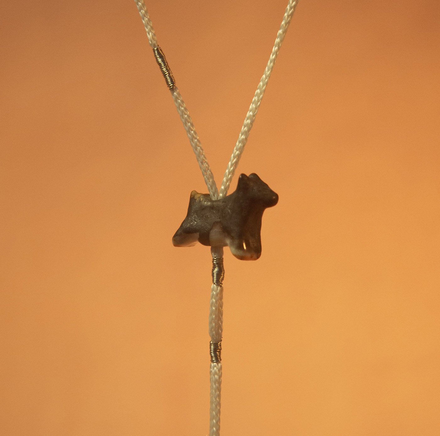 horse bolo closeup3.jpg