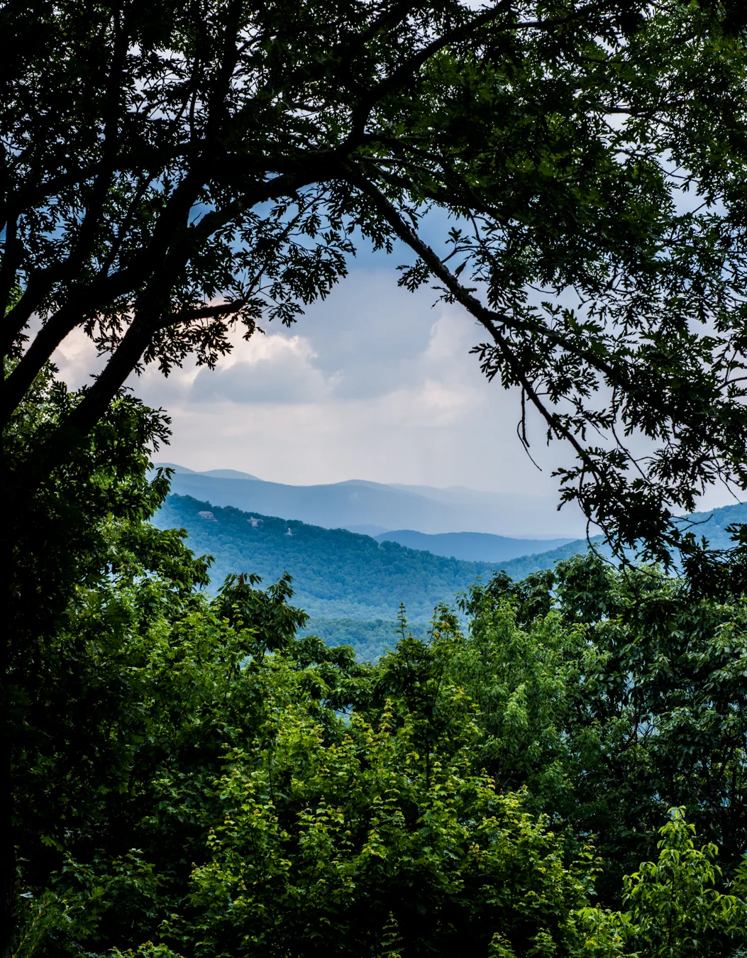 DSC_3853.jpg