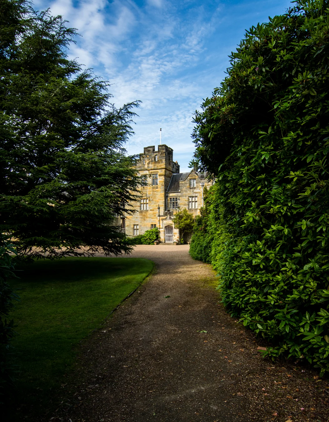 DSC_5662.jpg