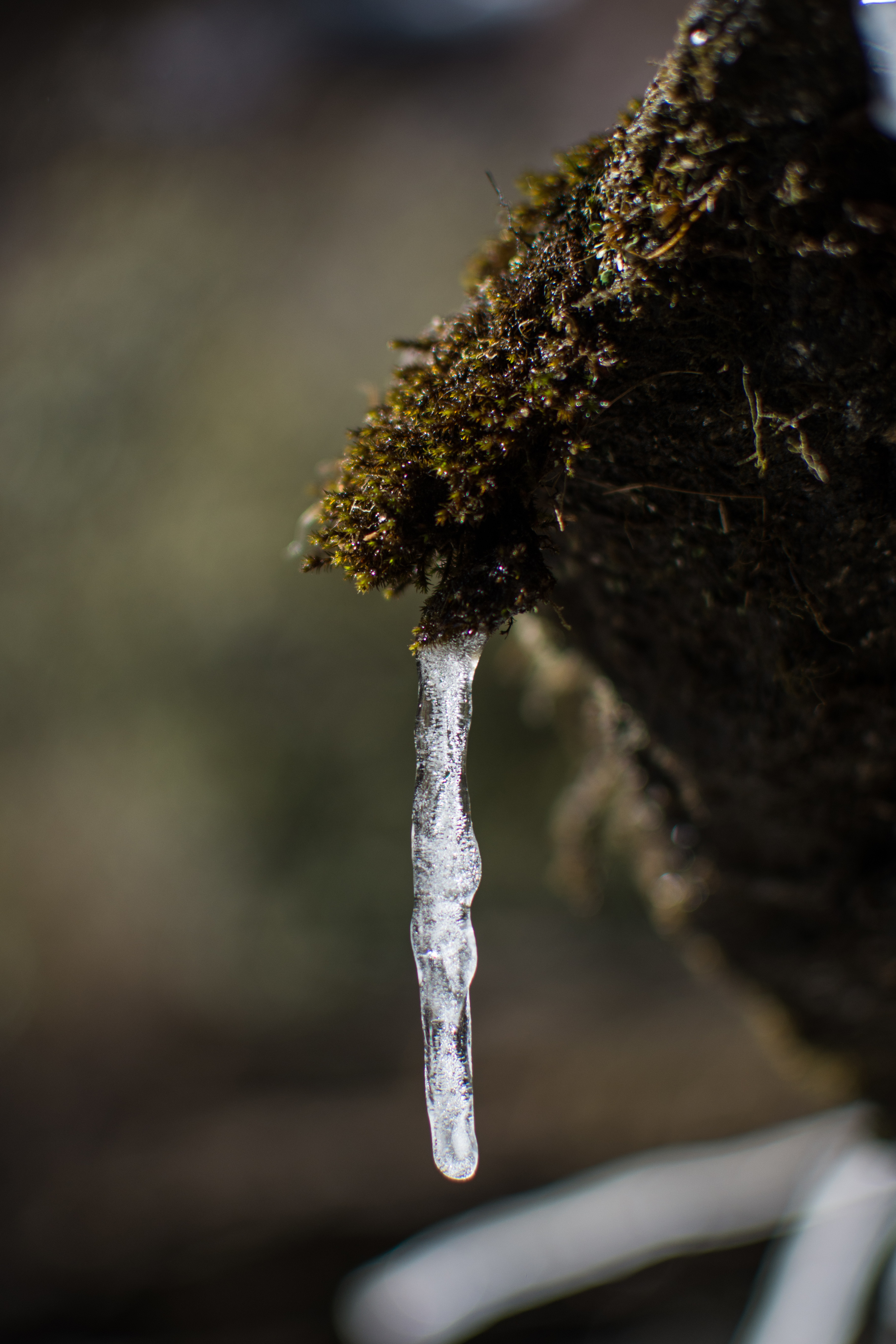 DSC_8738.jpg