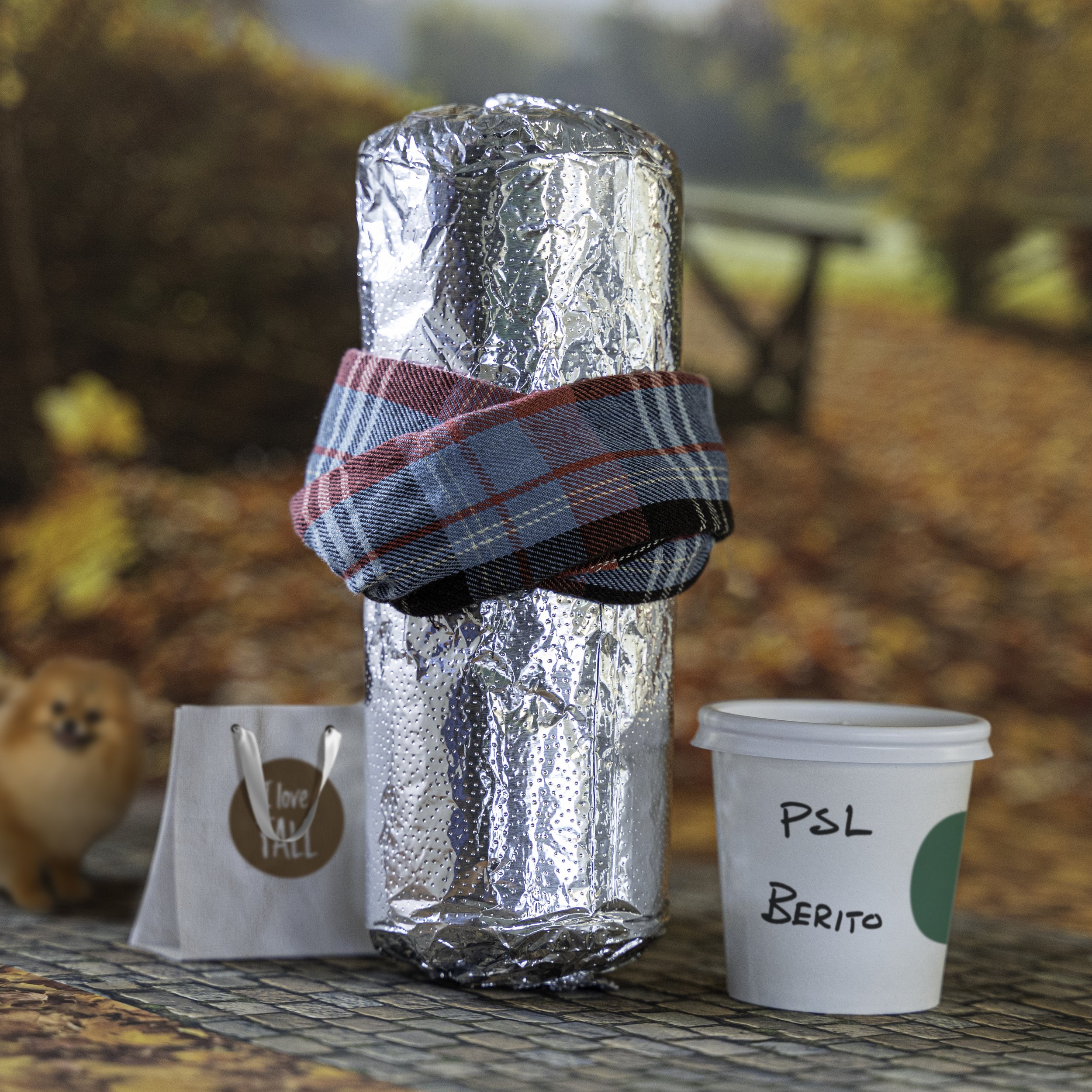 BasicFallBurrito.jpg