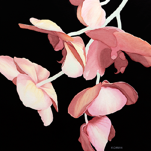 Cascading Orchids ©nancgordon2016 All rights reserved.
