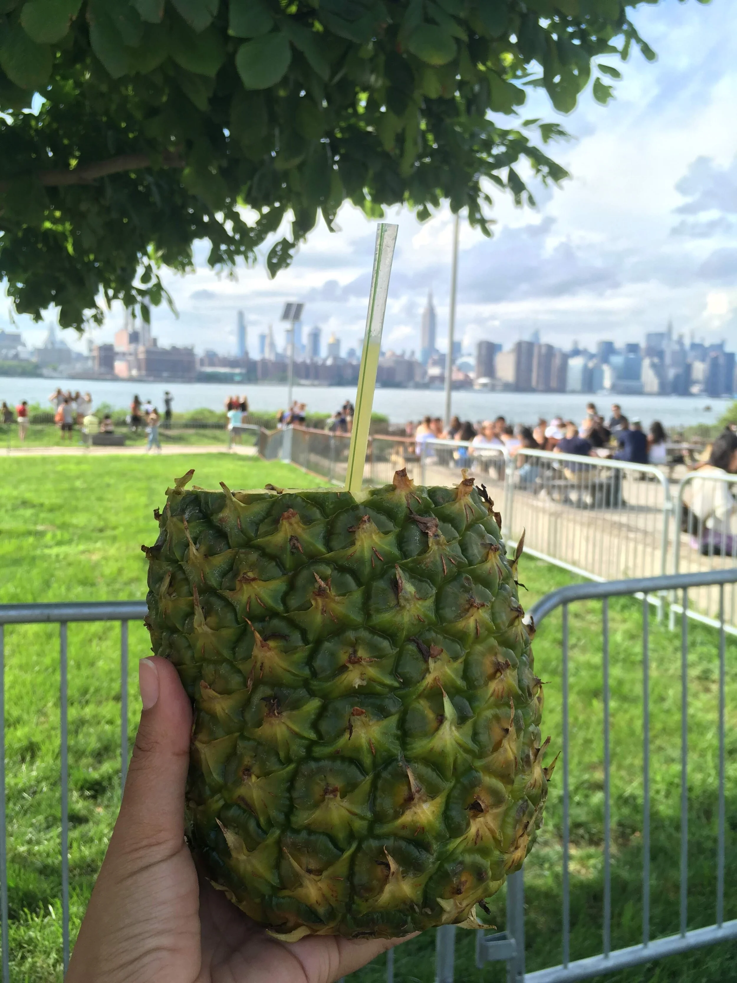   Recognizing that human beings are part of nature, Ayurveda describes three fundamental energies that govern our inner and outer environments: movement, transformation, and structure. Known in Sanskrit as Vata (Wind), Pitta (Fire), and Kapha (Earth)