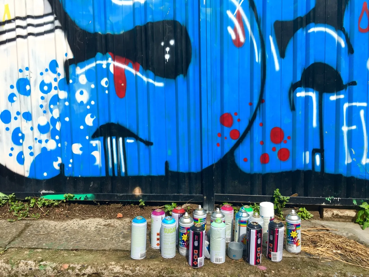 Controversy: The Street Art of Newtown, Australia