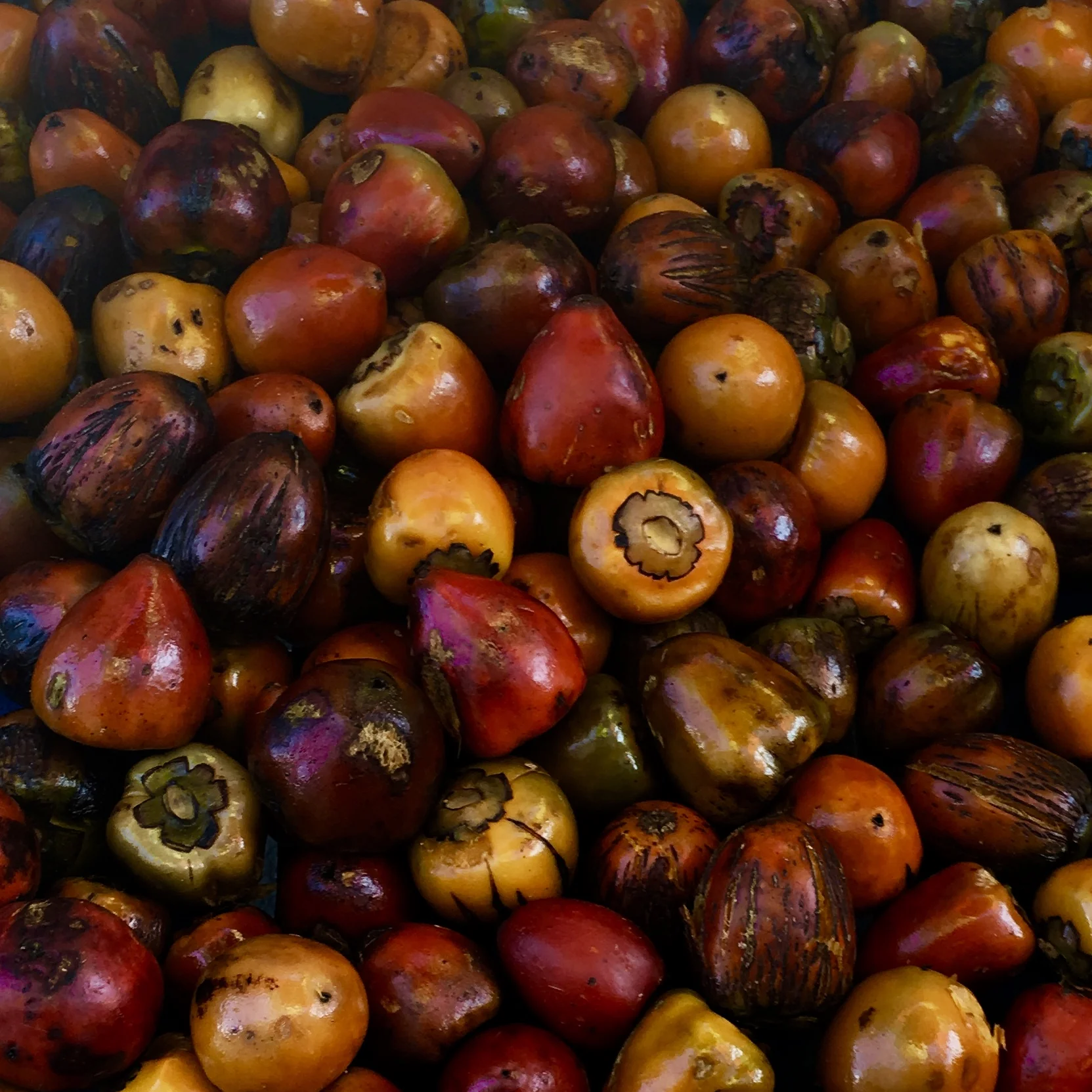 Biting Bogotá: A Foodie's Guide