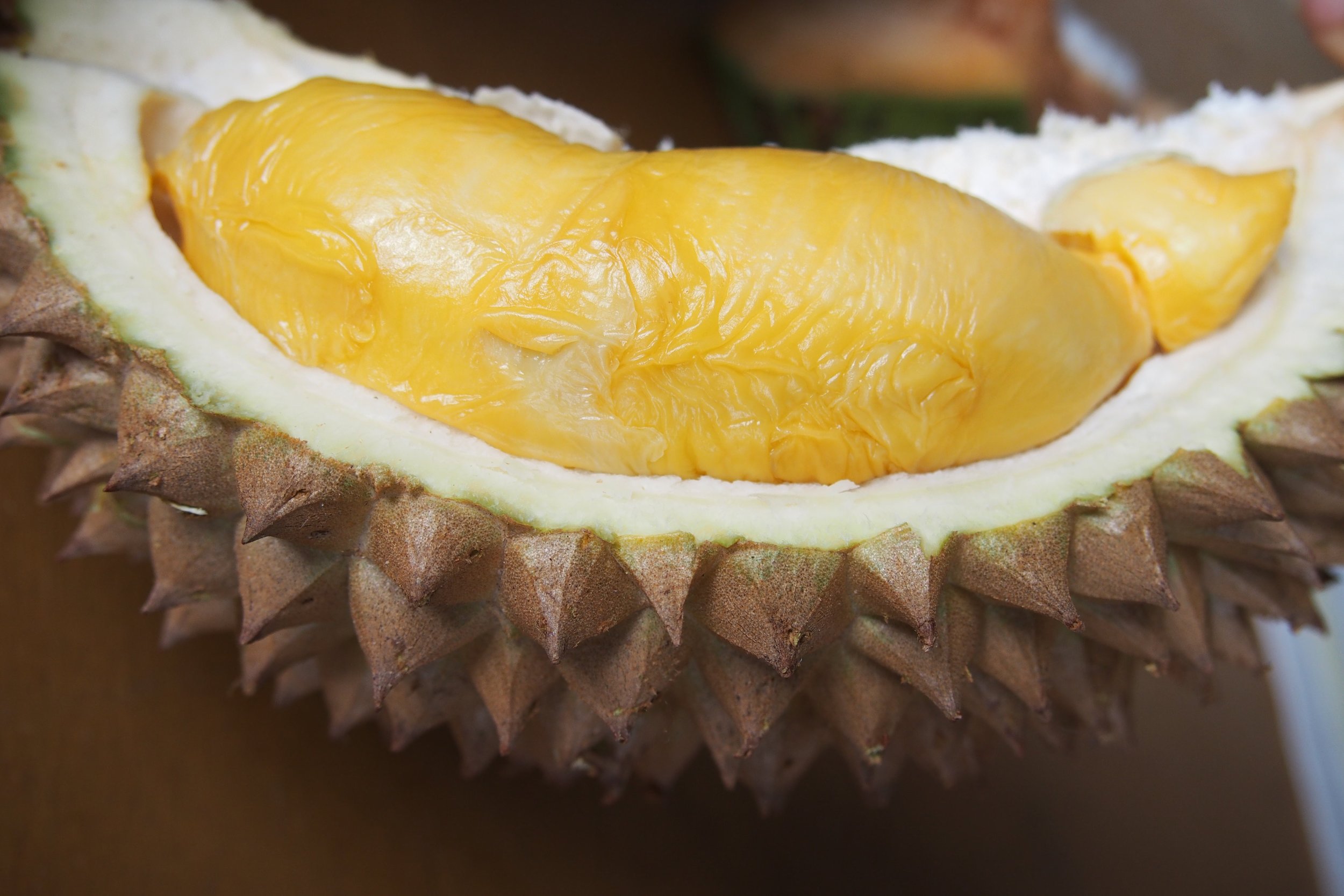 Freshly cut durian in Penang, Malaysia