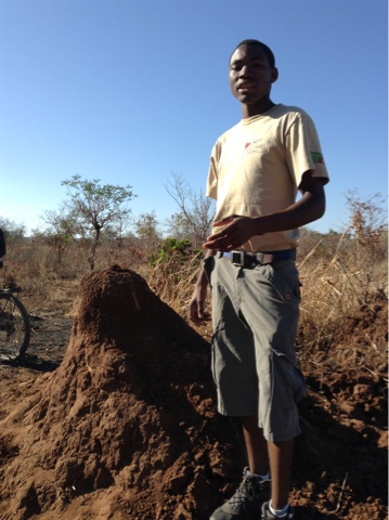Our guide Patrick explaining that this type of termite mound is often used by the women & girls of the village.