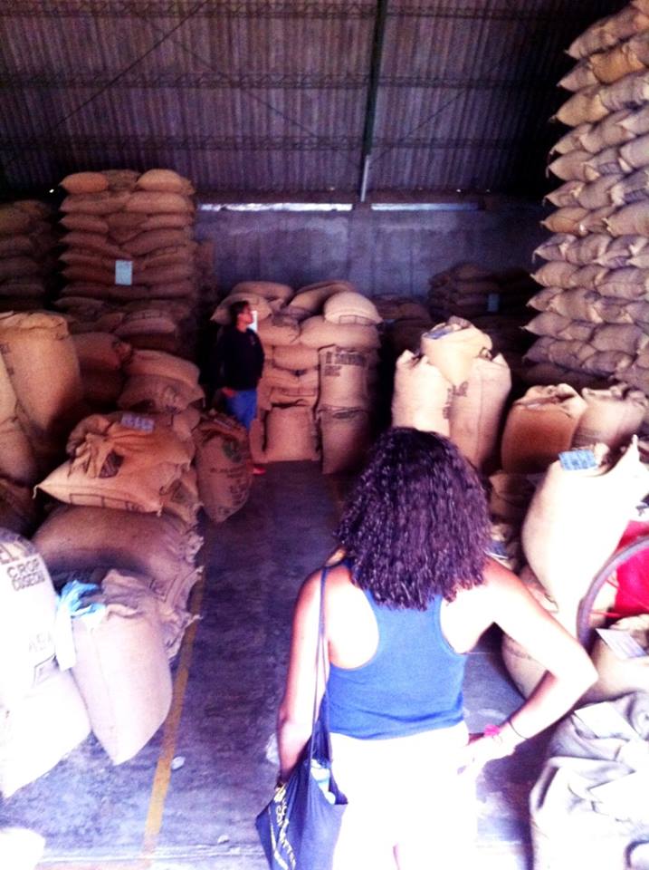 At one of the coffee fincas in San Salvador.
