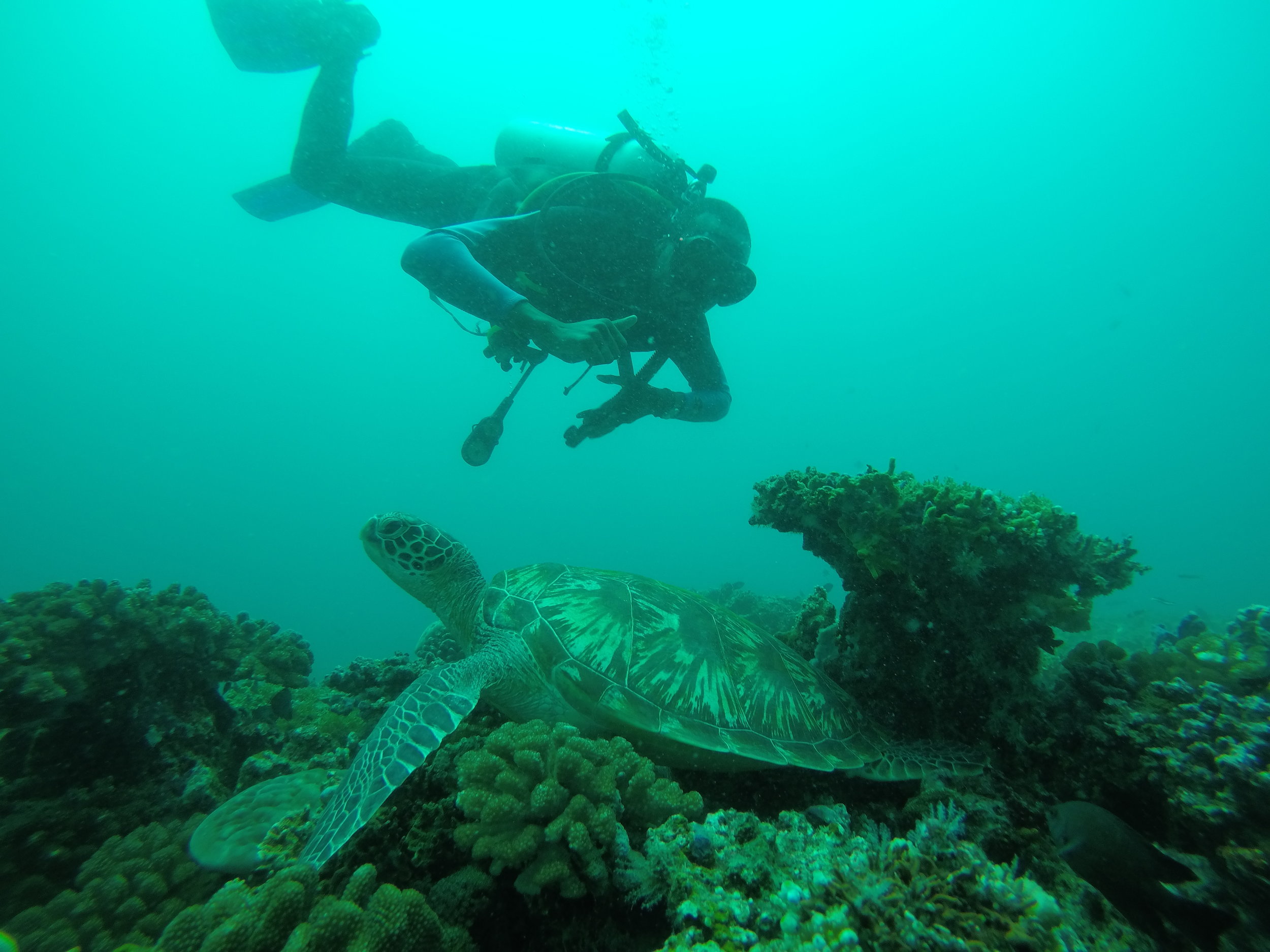 Snorkeling in Bali