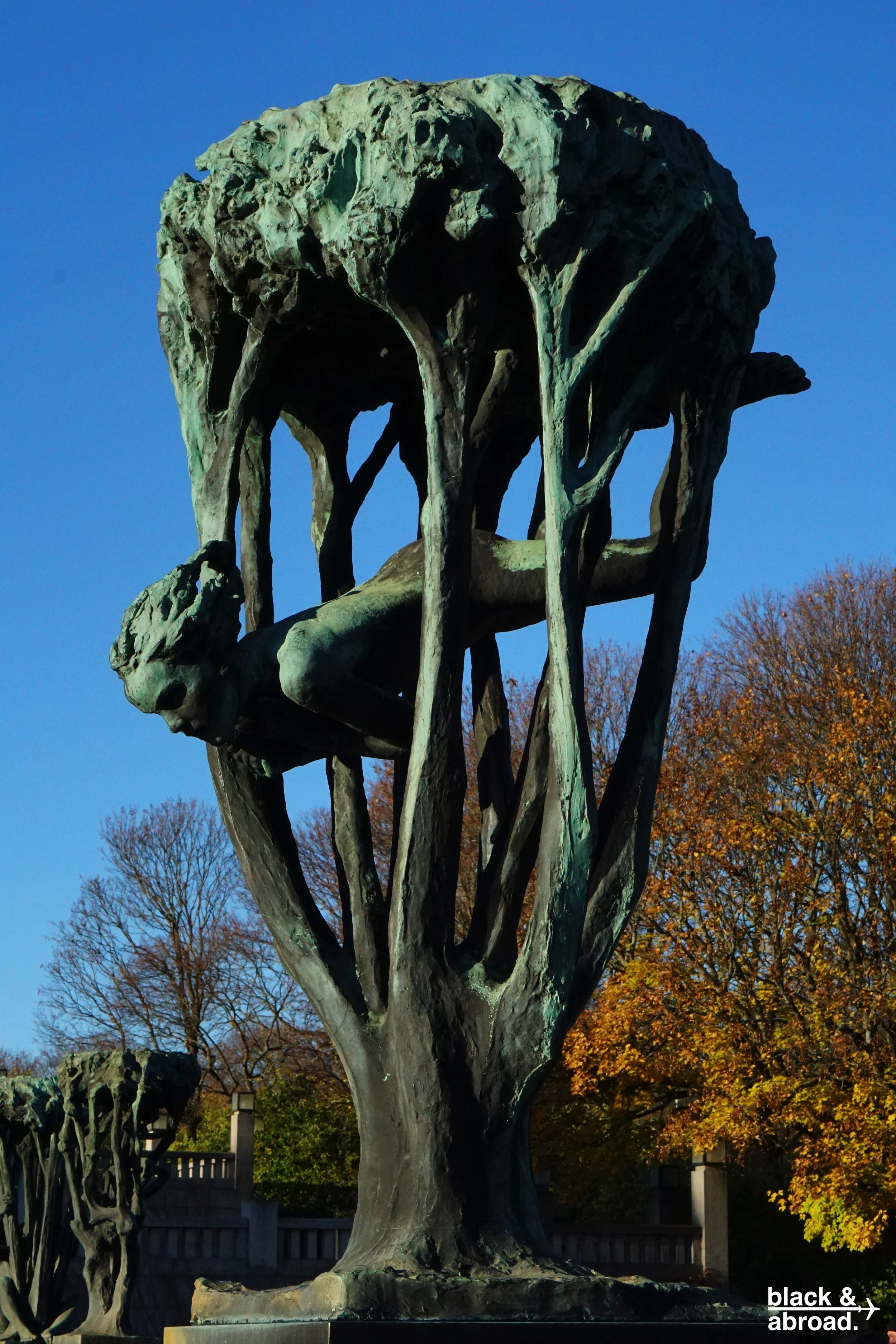 DSC05161.jpg