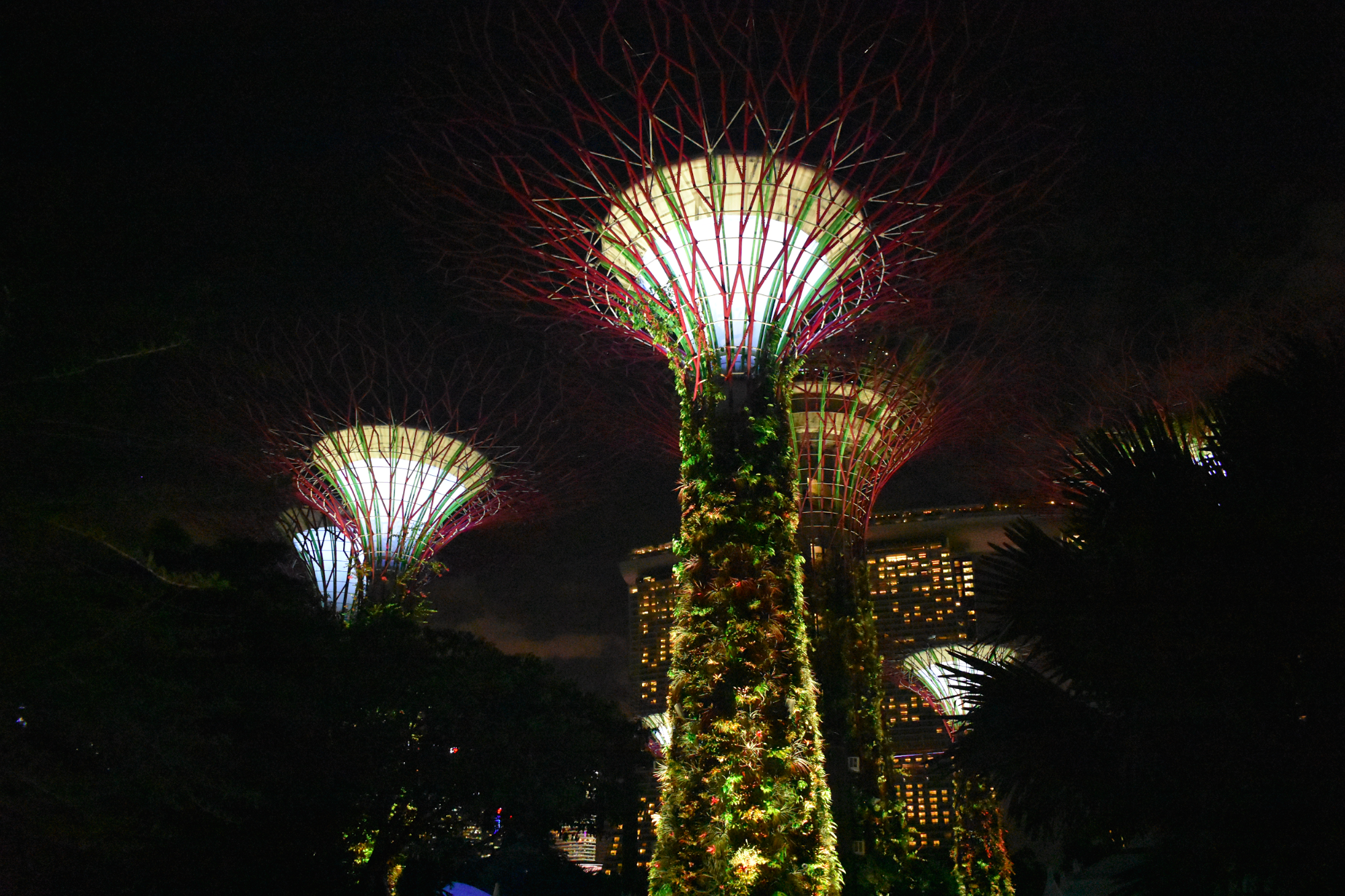 The infamous Supertree Grove at night in downtown Singapore
