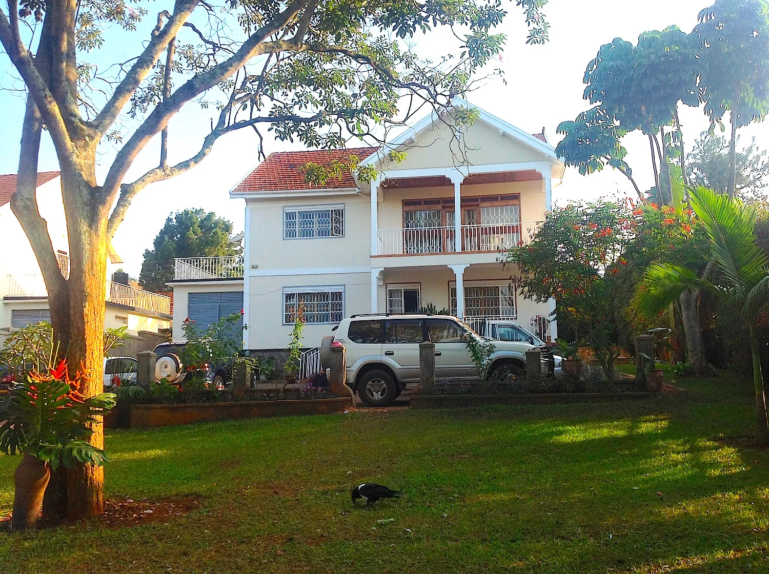 image2.jpg