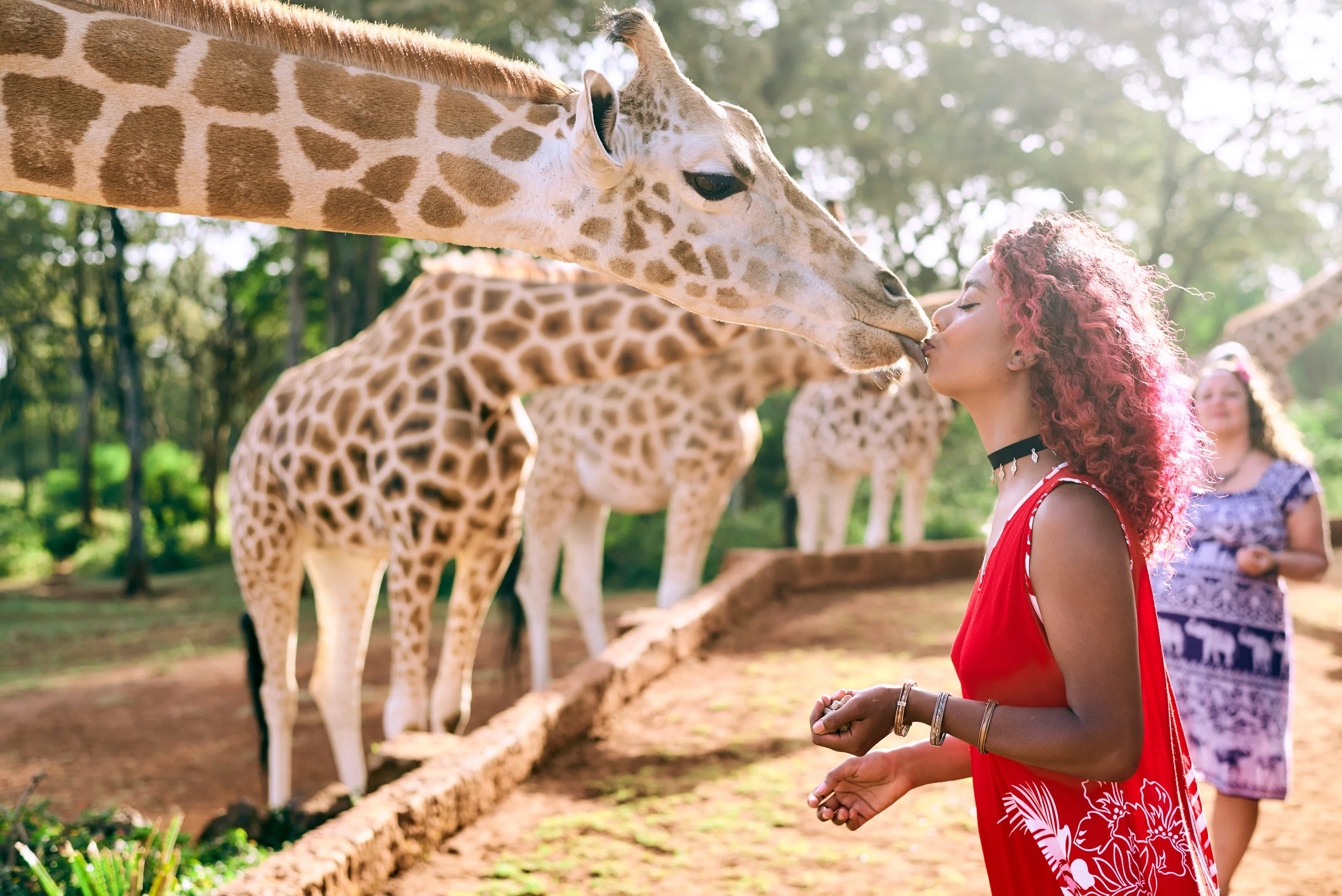 Paradise in Kenya: A Visit To The Giraffe Manor