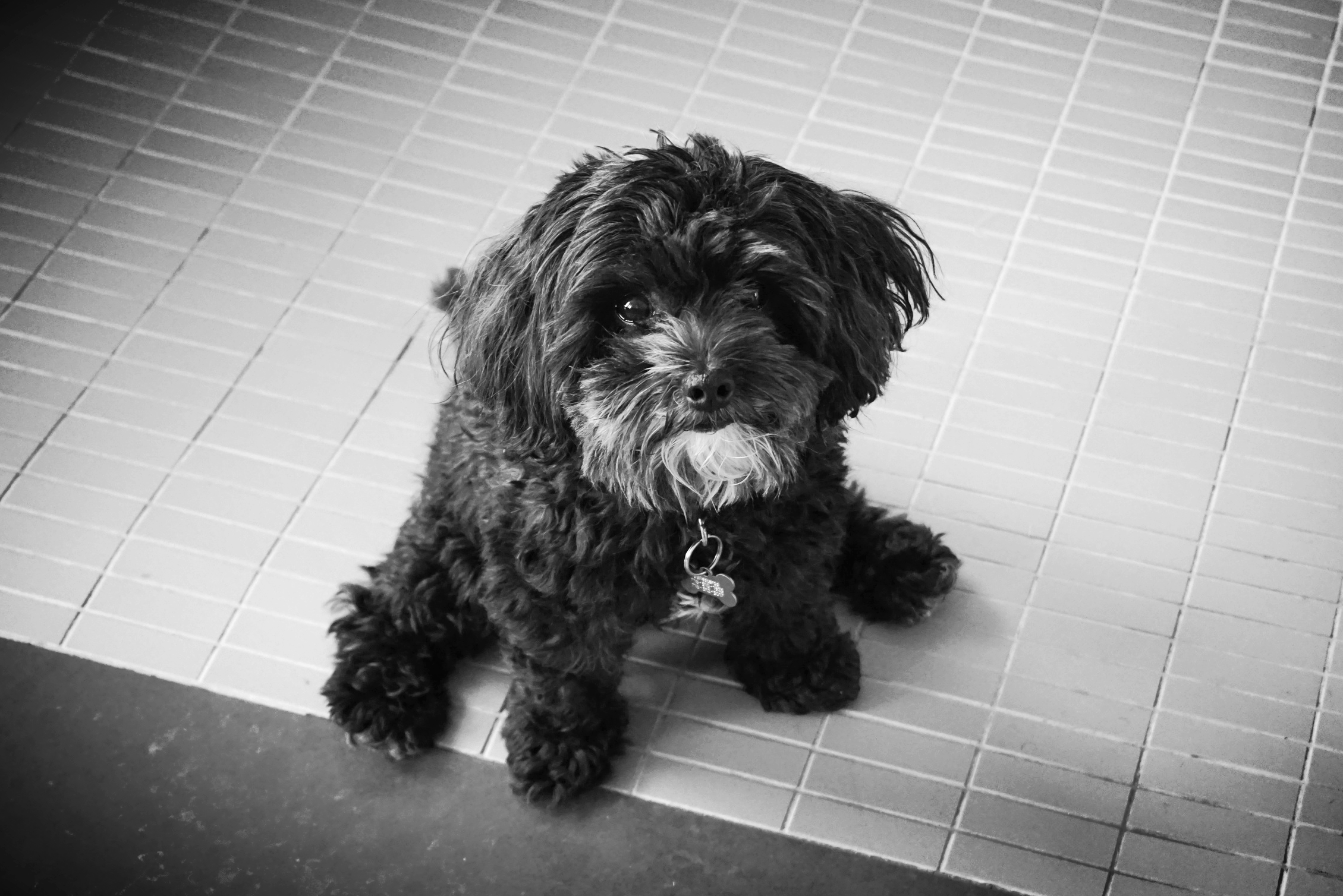 LUNA, ON SET, TORONTO, 2015