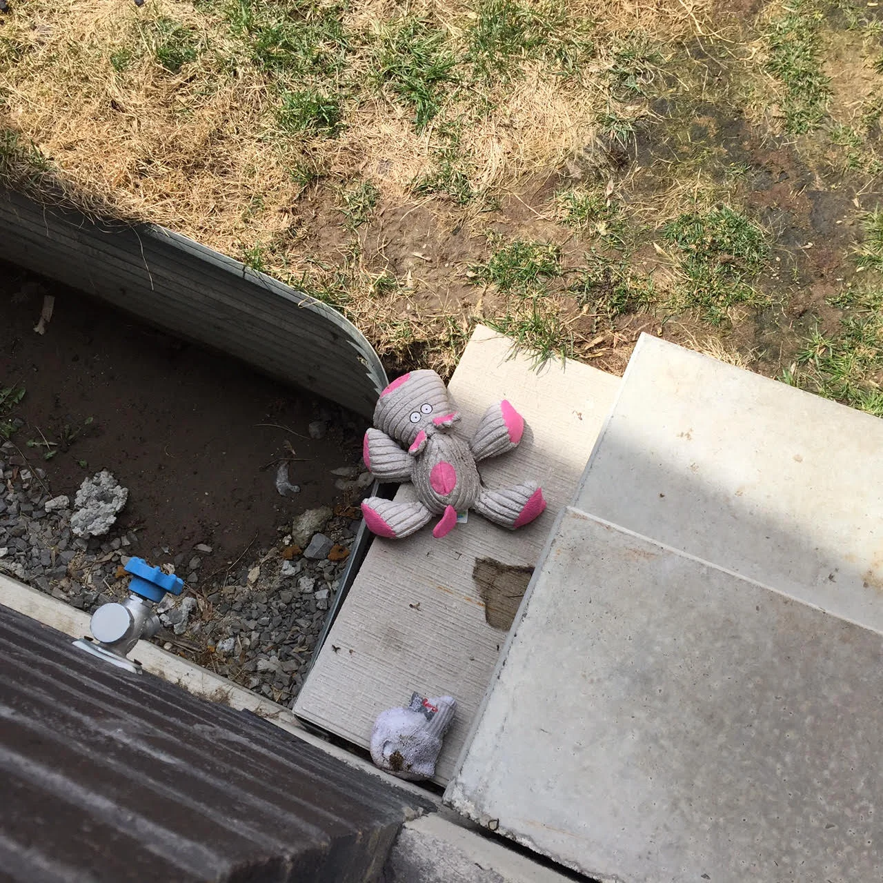 Outside friend.jpg