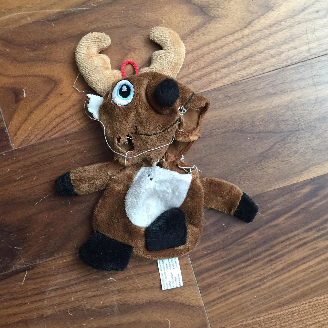 Reindeer.jpg