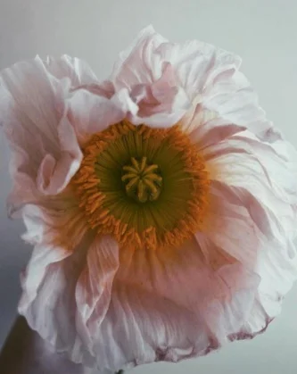 How do you create a life you don’t run away from?