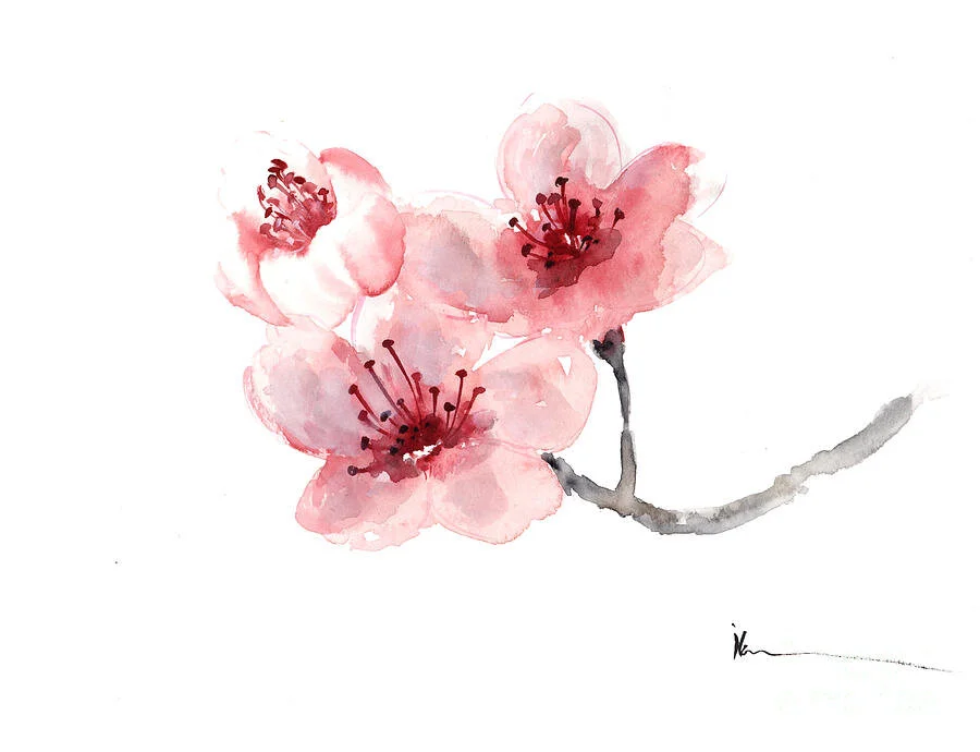 flower watercolor.jpg