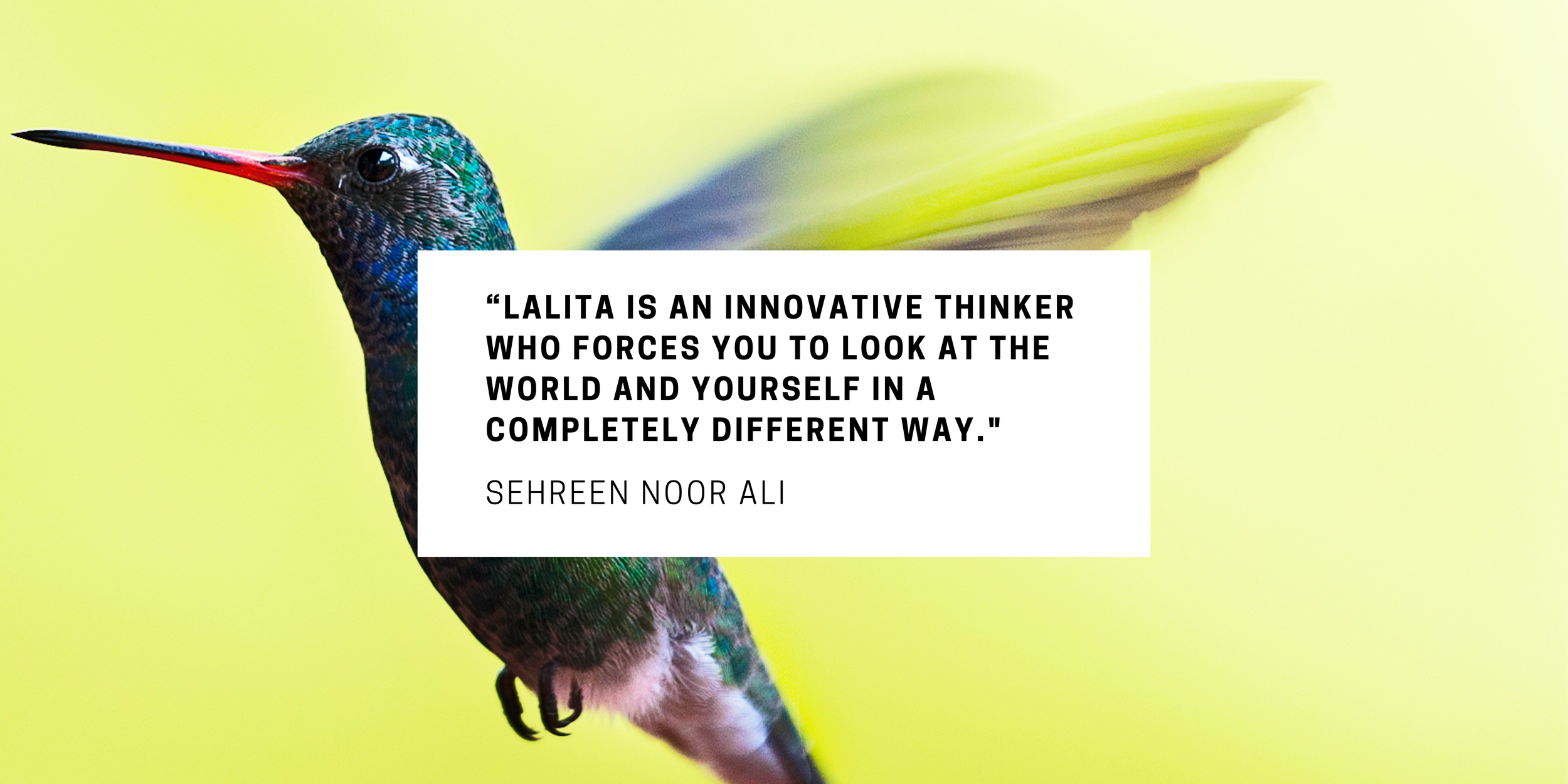 Testimonial Header (3).png