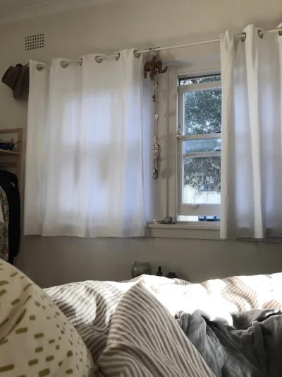 sun rays.jpeg