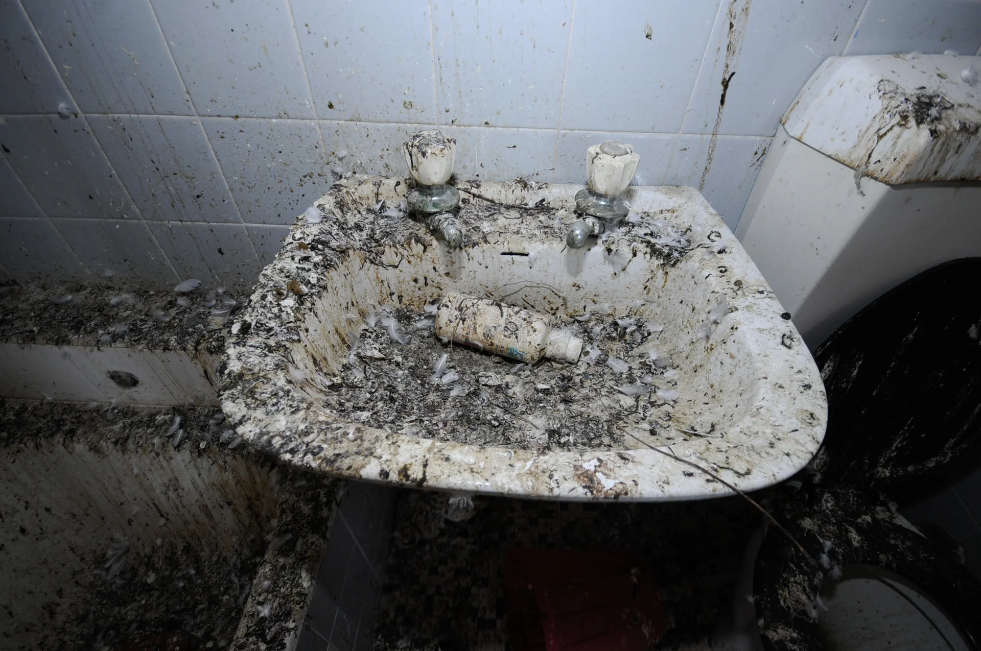 dirt sink_SS.jpg