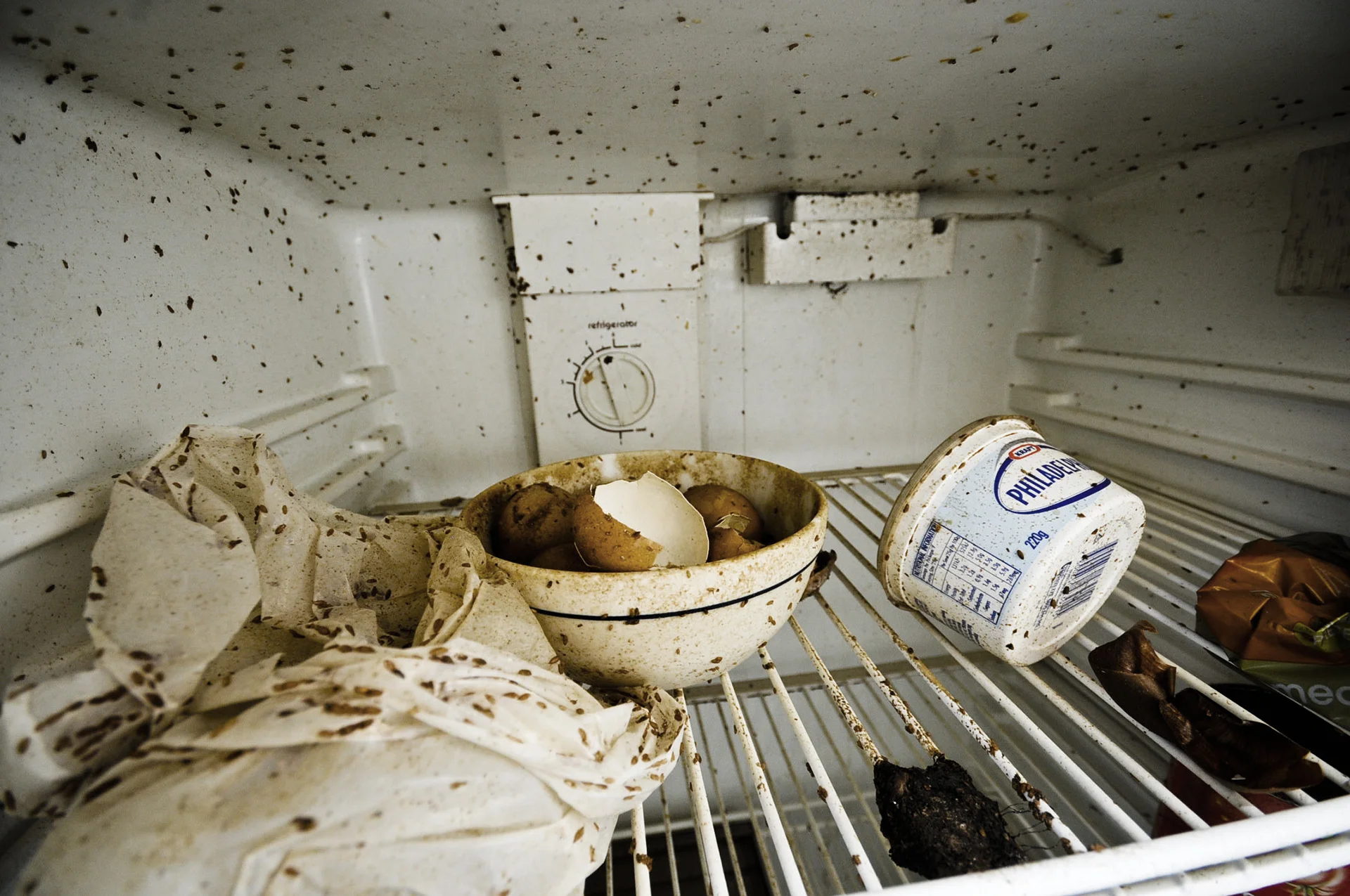Fridge_SS.jpg