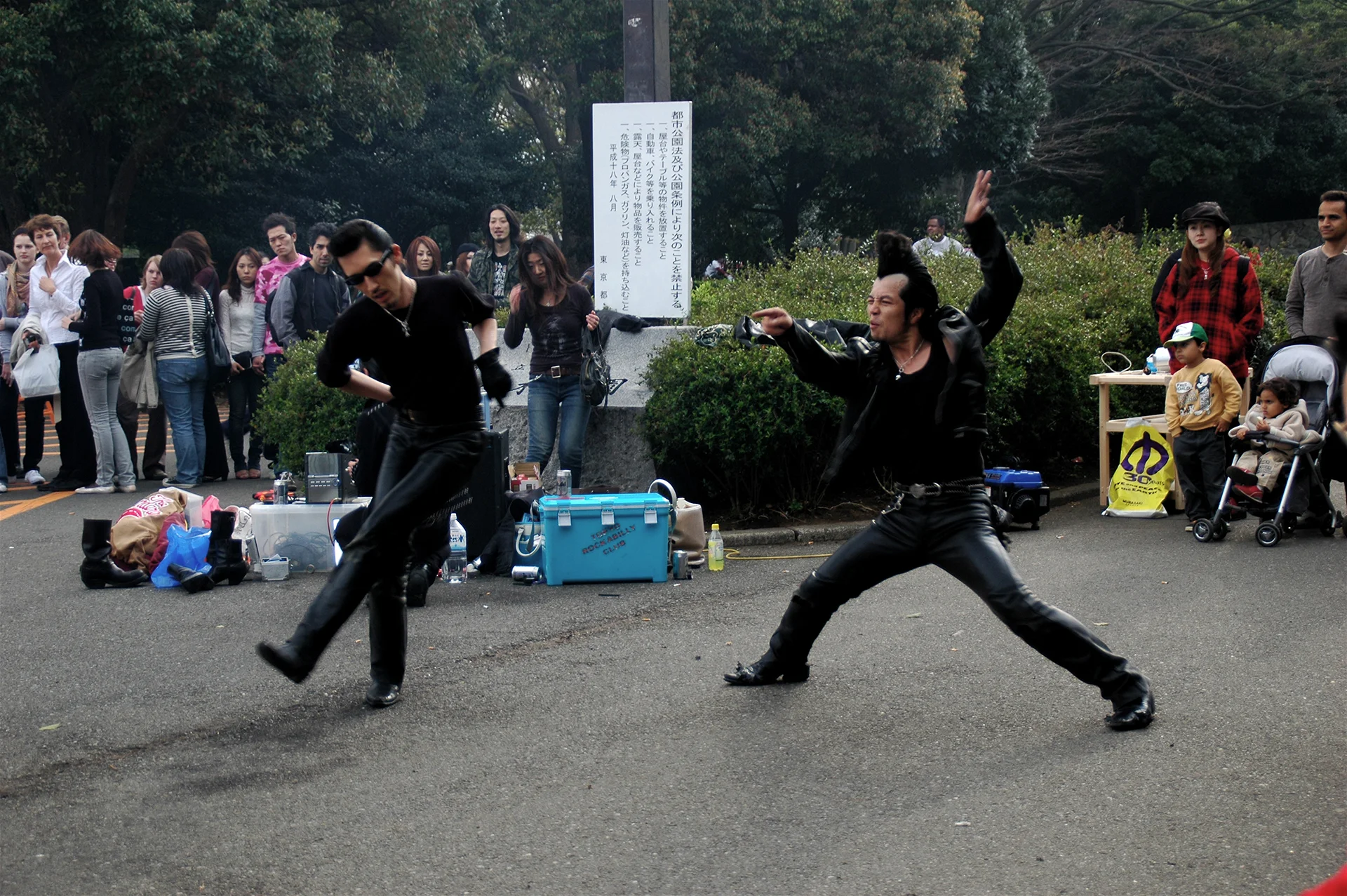Japanese Rock.jpg