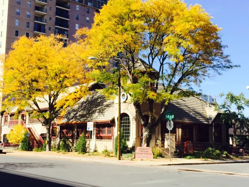 Office In Fall.jpg