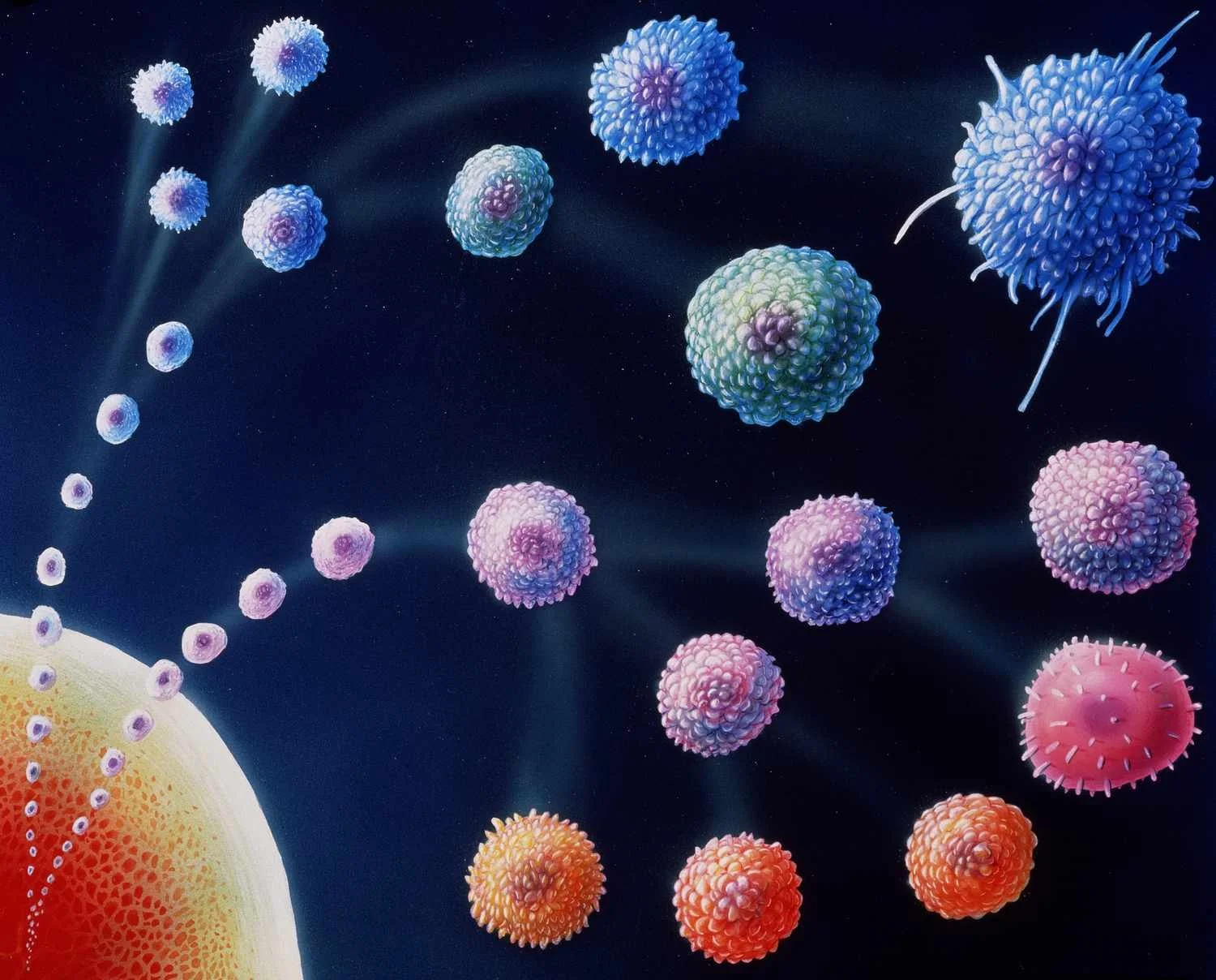 Autoimmune Disorders and Chinese Medicine 