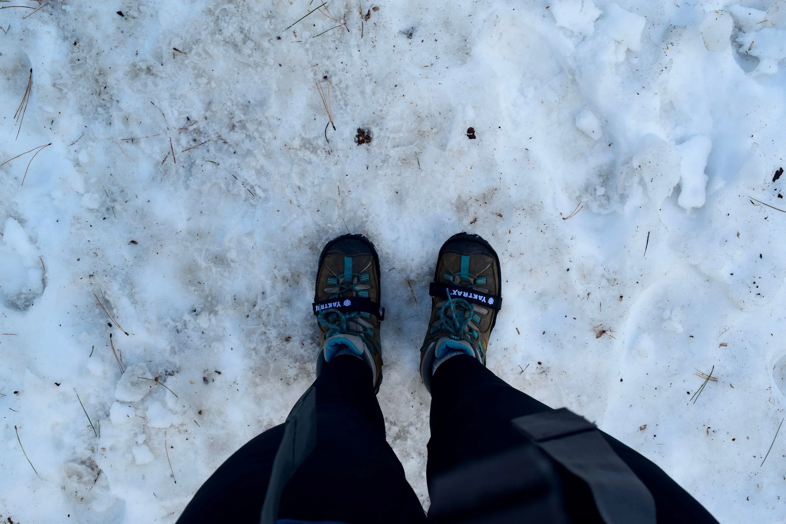 Yaktrax pro were lifesavers on this hike - basically everyone we passed was slipping and sliding on the ice and snow, we were walking normally!