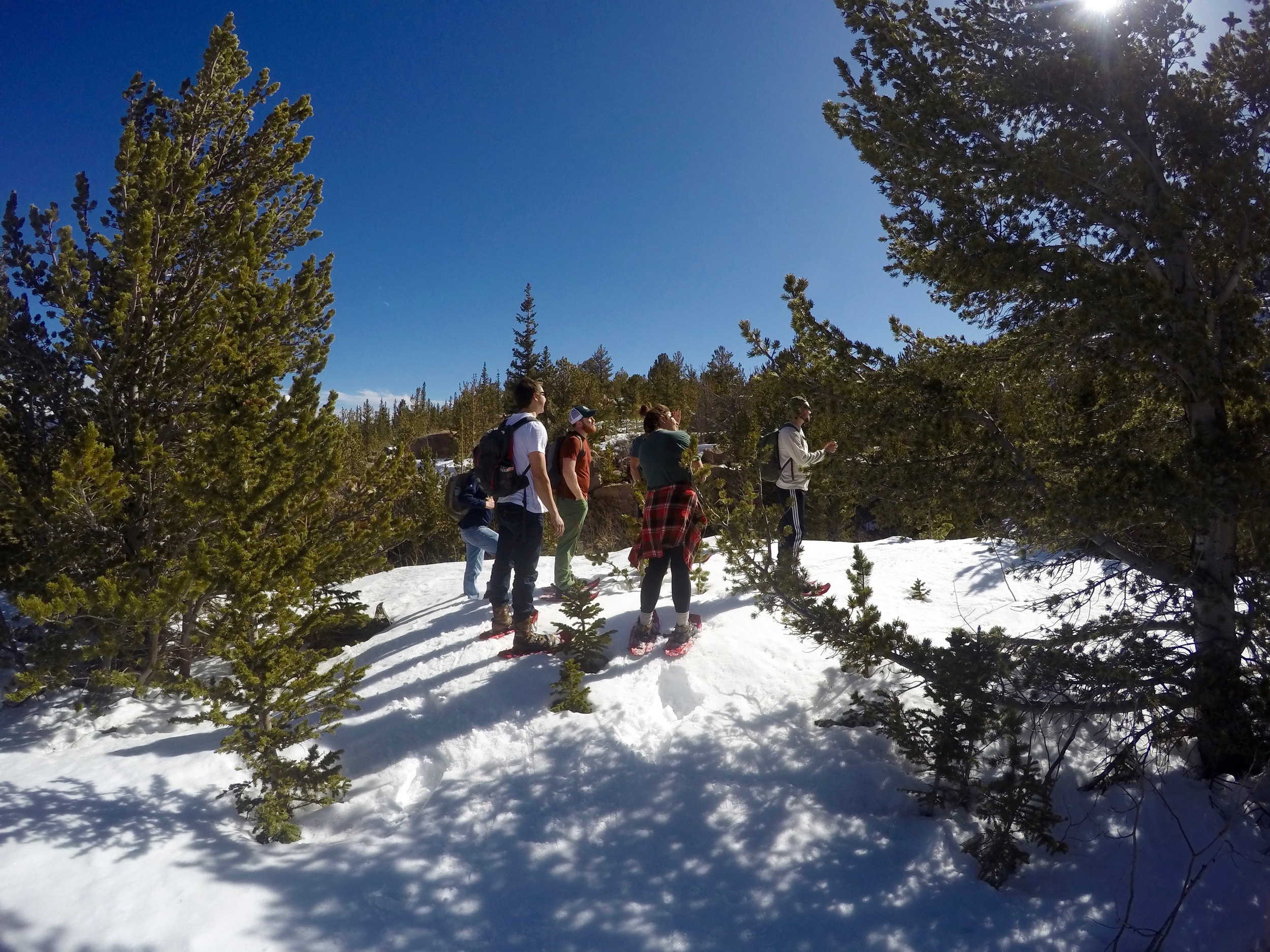"So, who wants to lead?" This is where we lost the path and had to break trail ourselves.