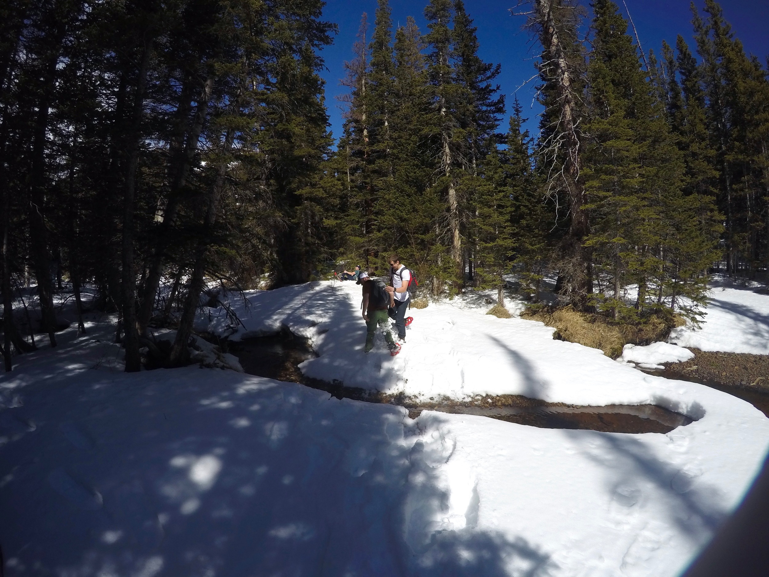 Sam rescuing Dylan from the creek jump