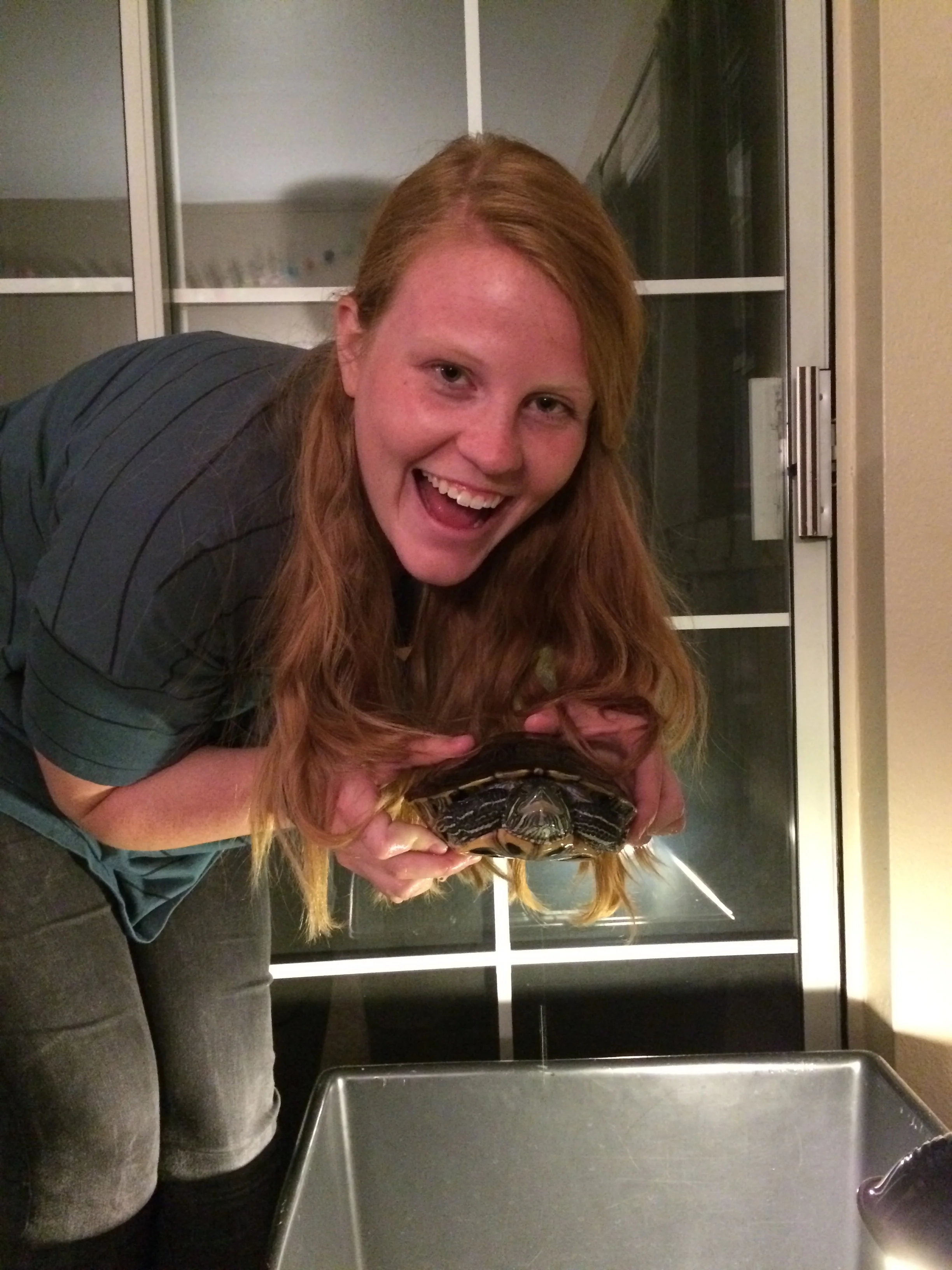 We got a super cute turtle named Percy and we love her very much!