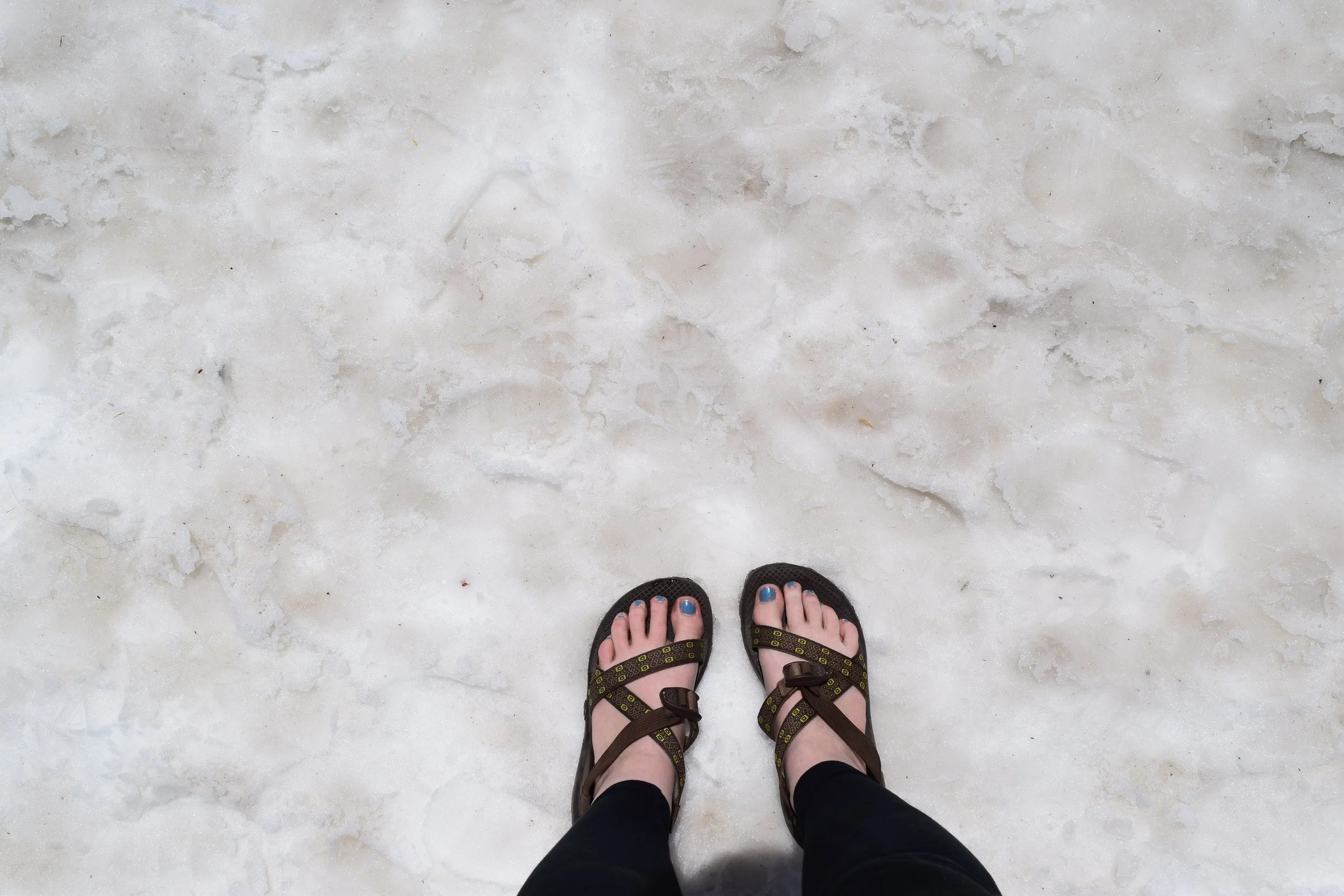 When it summer at 7,000' but winter at 12,000'