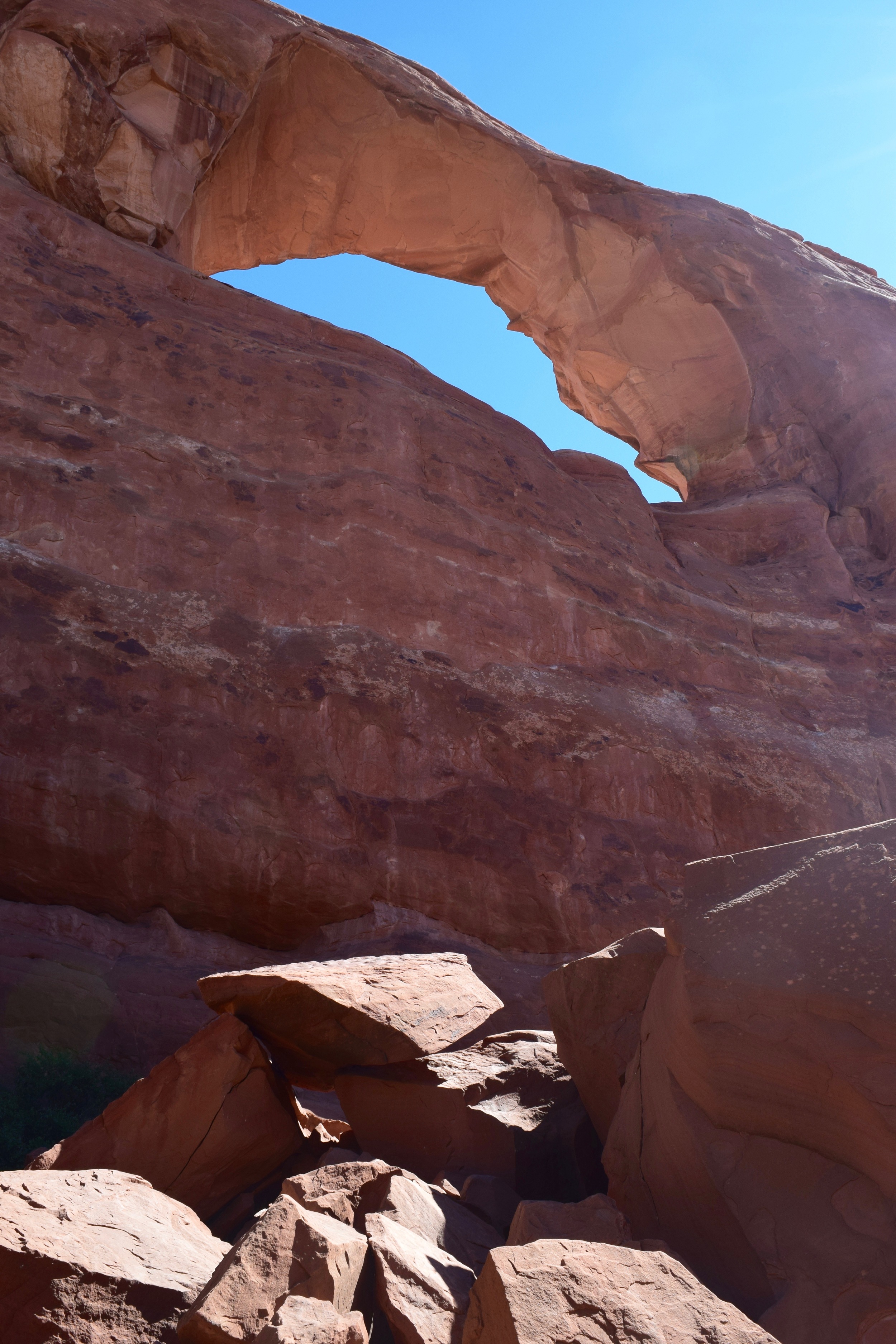Skyline Arch used to be half this size. The rocks at the bottom of the picture fell out and doubled the opening! It's so cool that Arches NP is like a living organism, changing and growing and shrinking all the time.