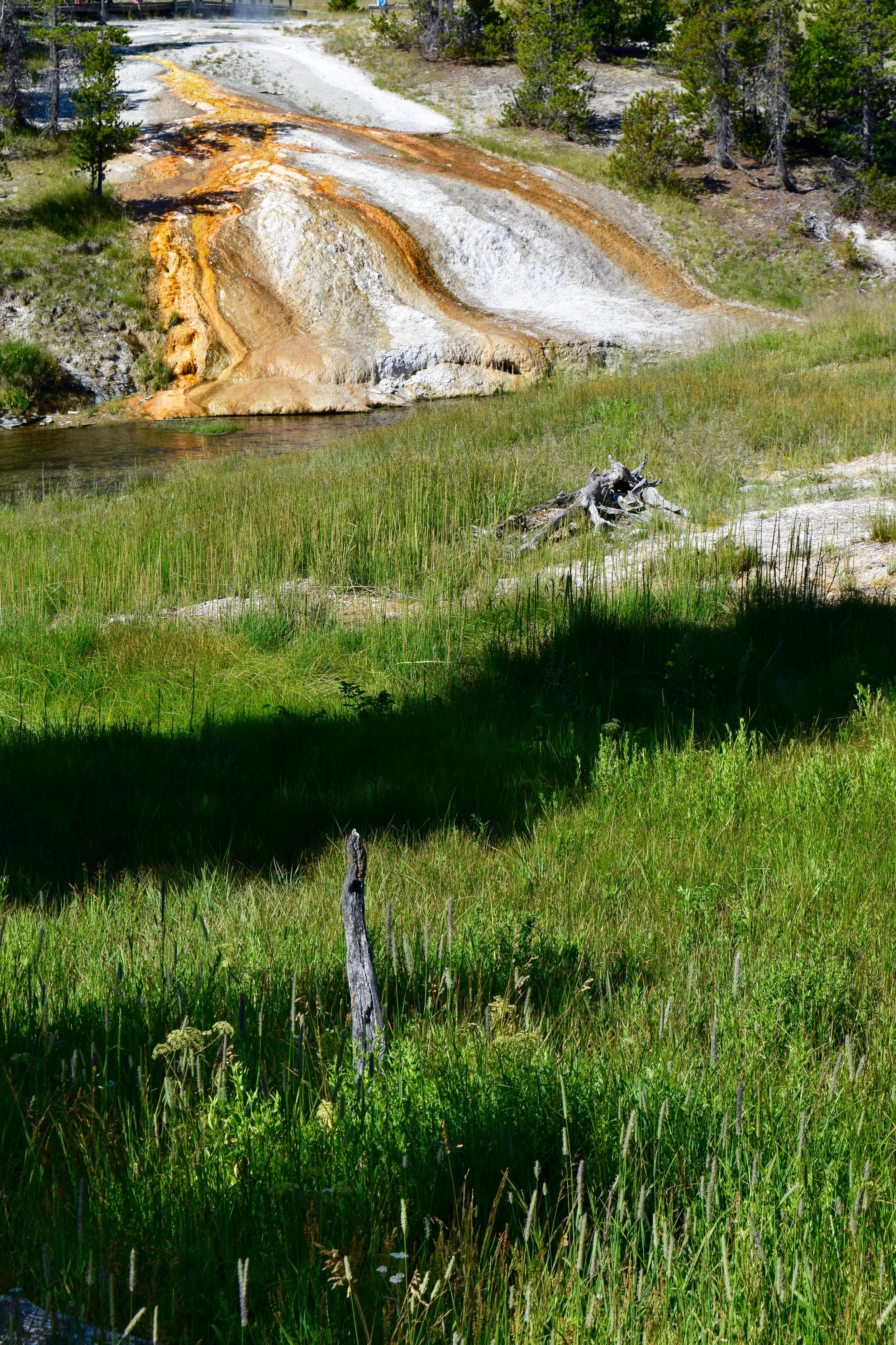 A prime example of the otherworldly feel - some parts looked like a normal forest, and then you'd turn your gaze a little bit up and see colored rocks and spouting water and steam and the normalcy would be broken.