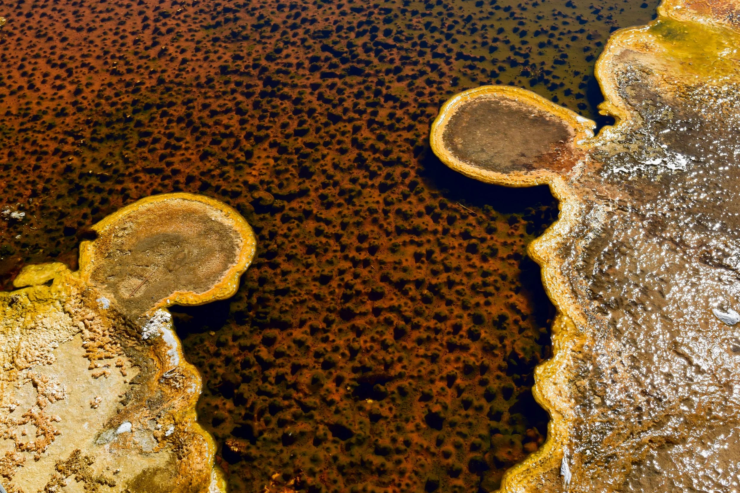 A close-up of the run offs from geysers and springs