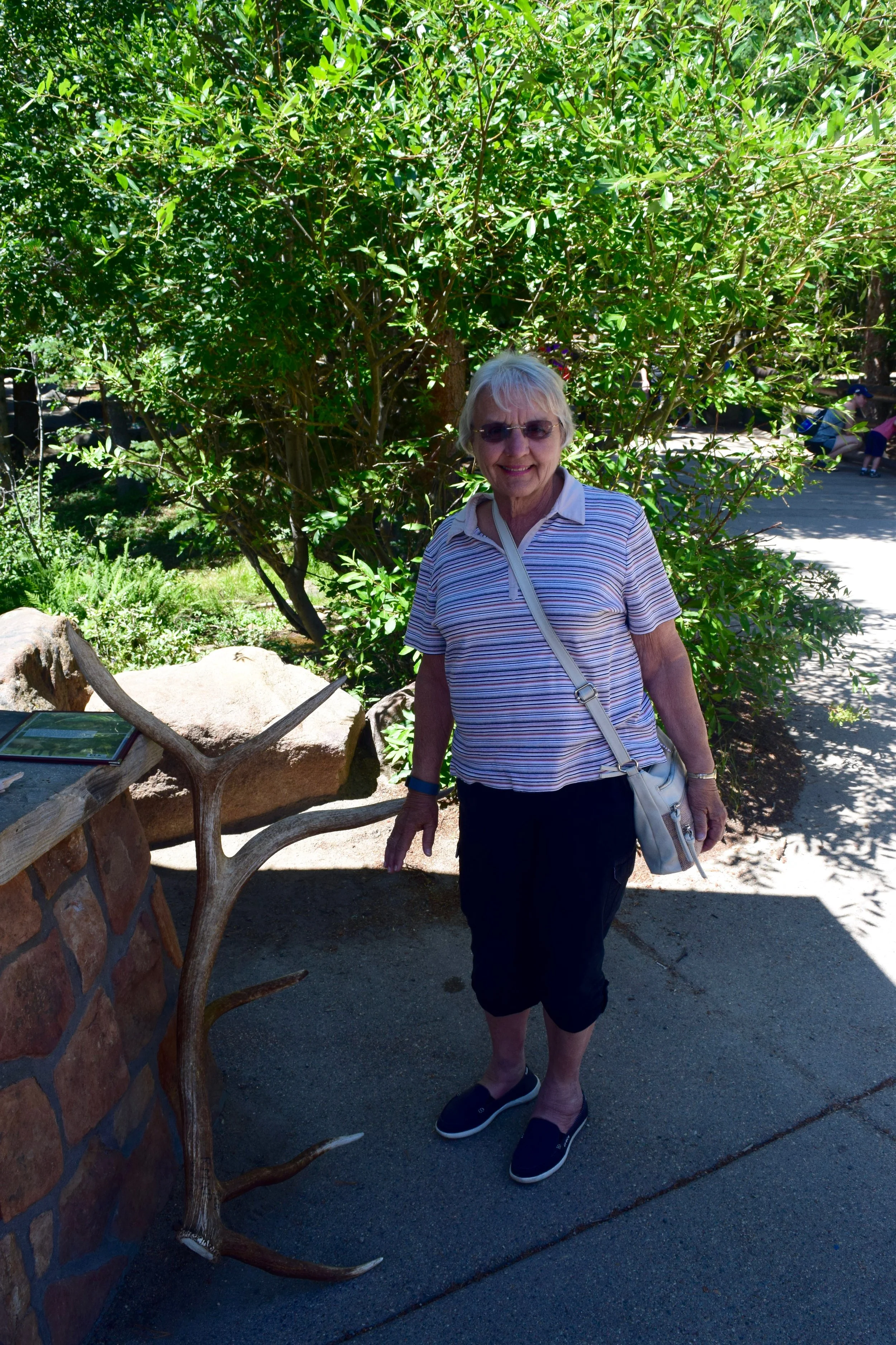 This elk antler was almost as tall as Grandmommie!