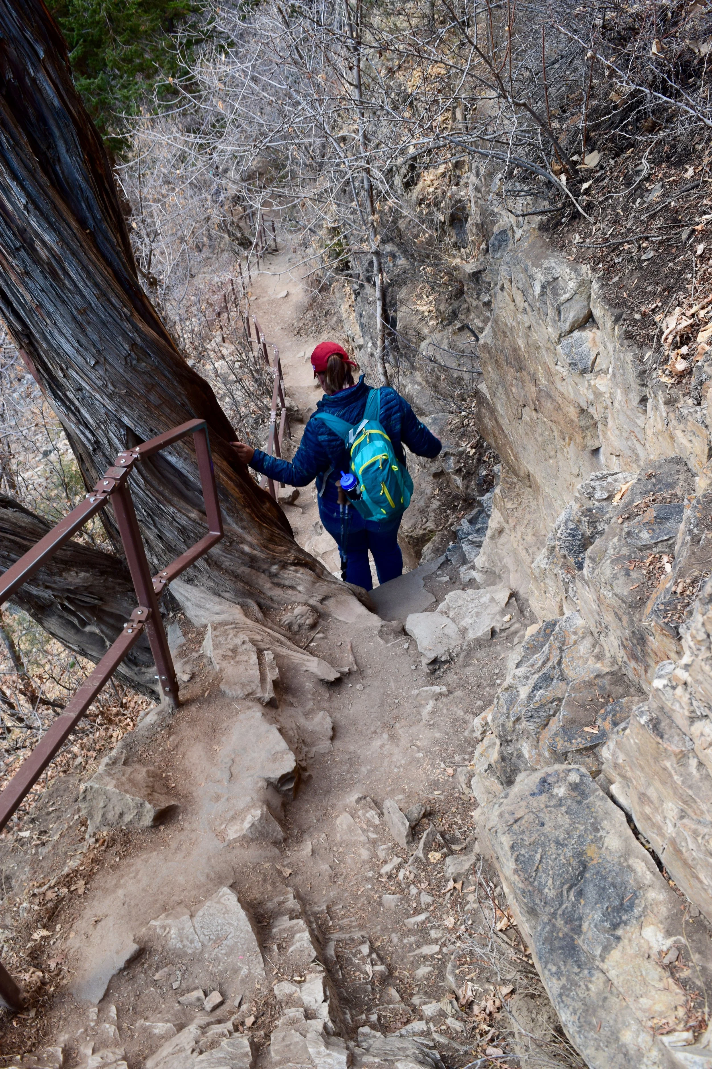 I tried to get some perspective of just how steep that last section was, but this doesn't really do it justice. Just take my word for it.