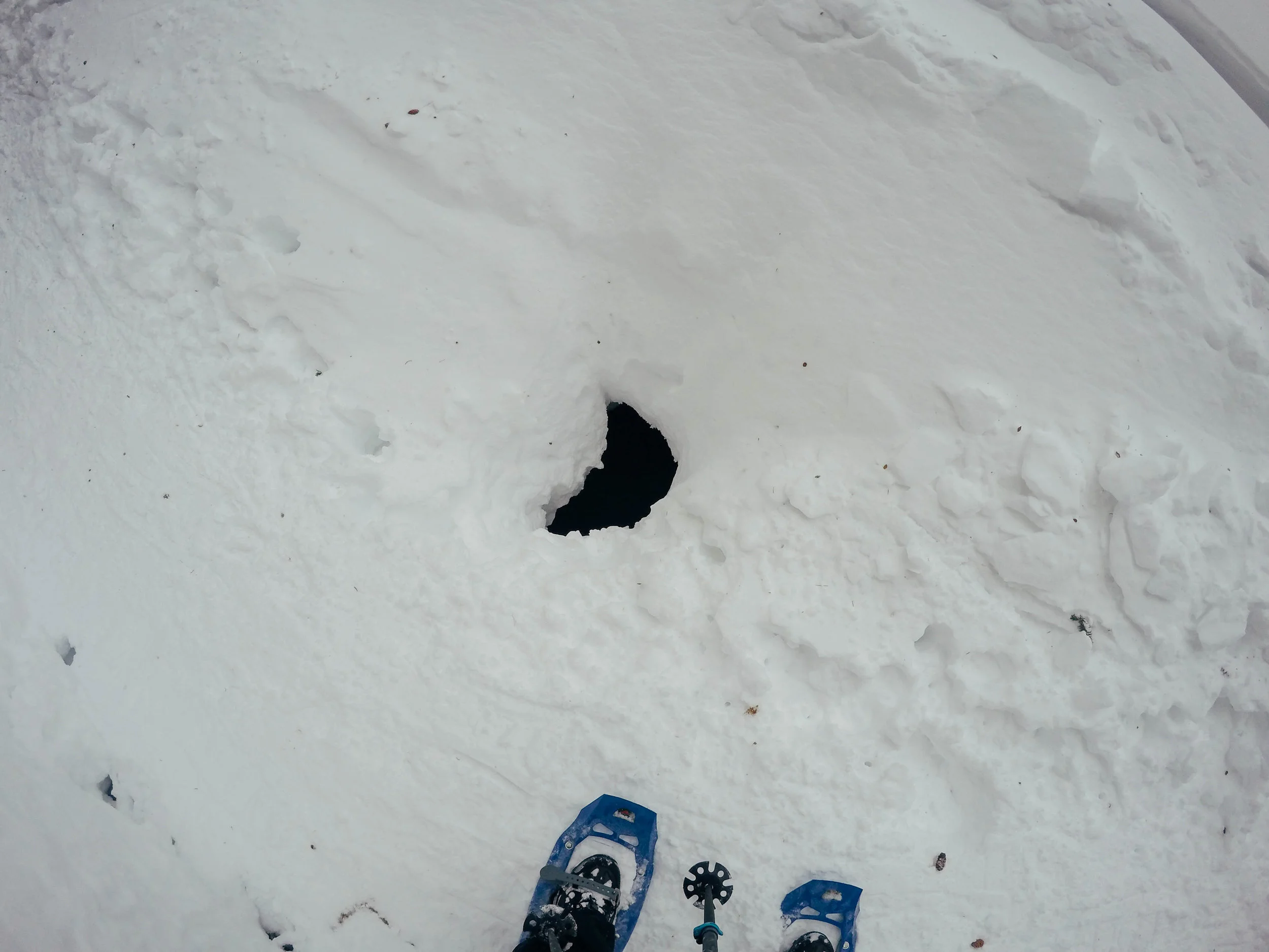 This hole was at least 4 feet deep and was over a running creek. It's easy to forget that just because there's 58 inches of snow on the ground doesn't mean nature is still taking its course. 