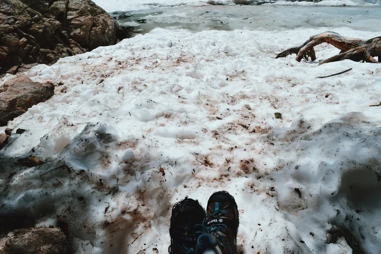 This was from a hike in RMNP in JUNE - so glad I had these.