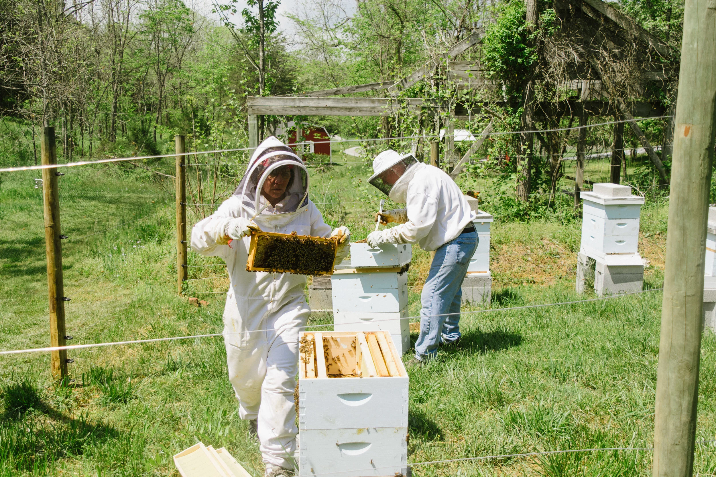 Moving select frames to the new hive