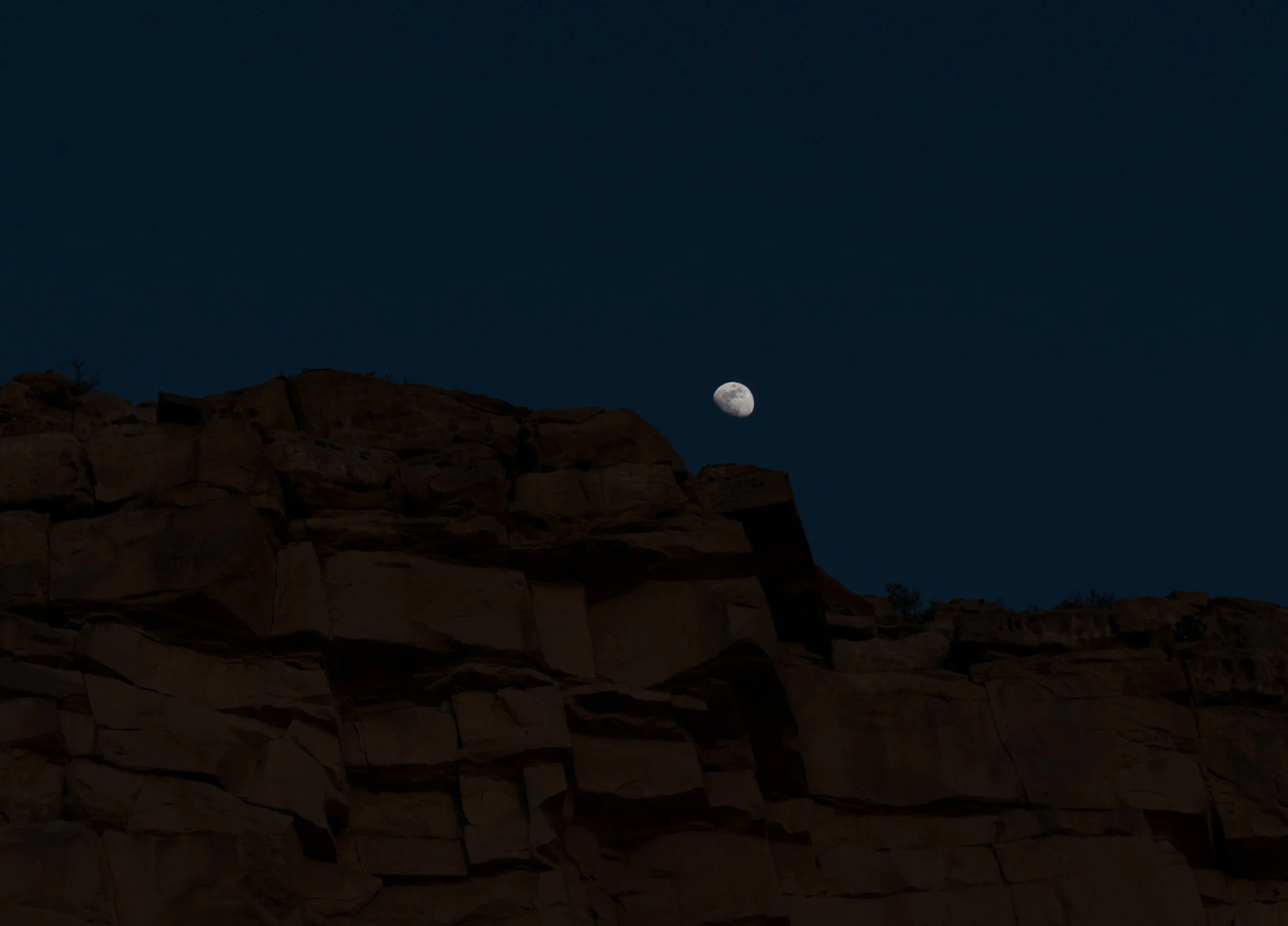 Bonus image of the moon - SO BRIGHT! Click on the image to enlarge it. I'm actually super proud of how well the moon turned out in this picture!