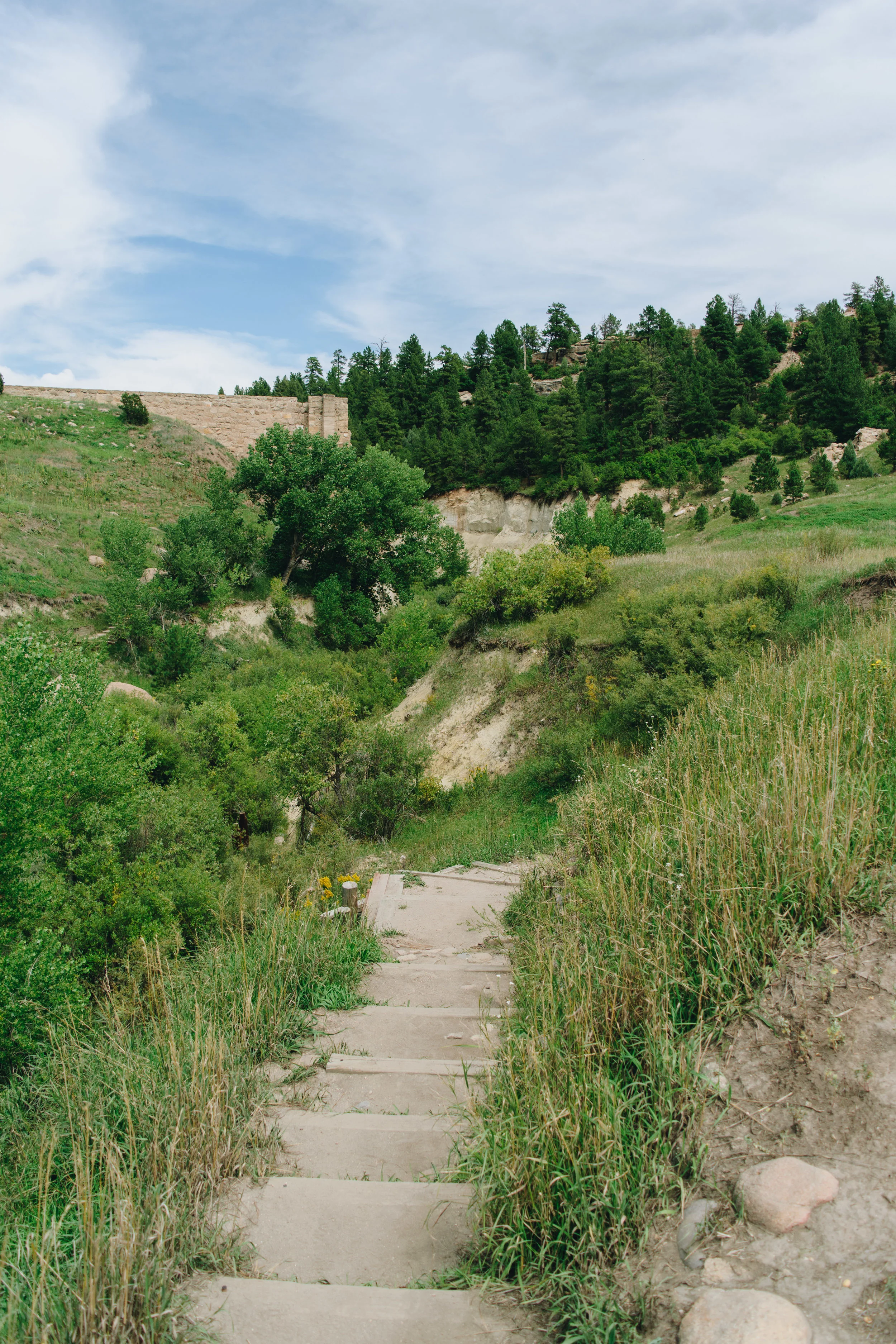 creek bottom-4.jpg