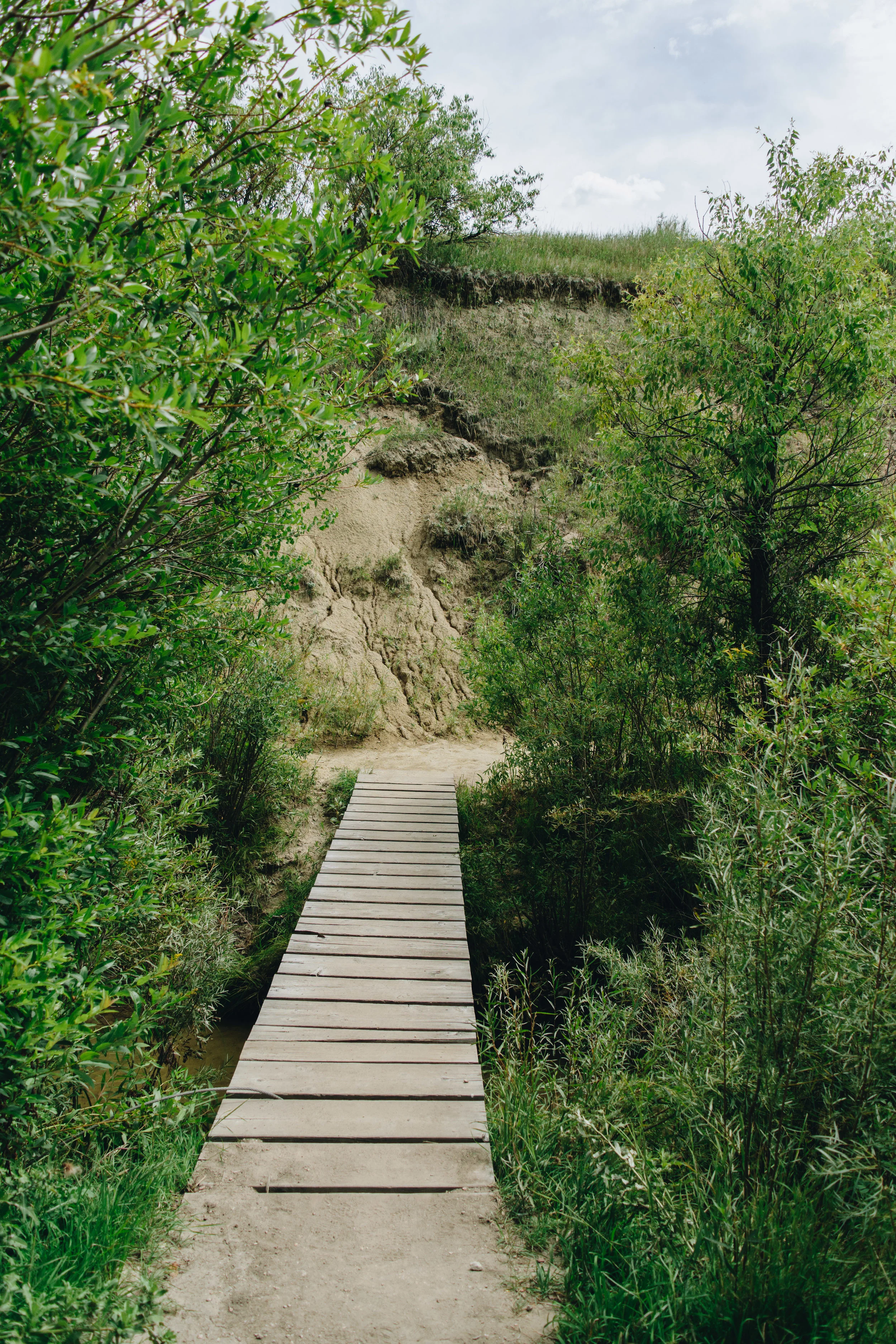 creek bottom-5.jpg