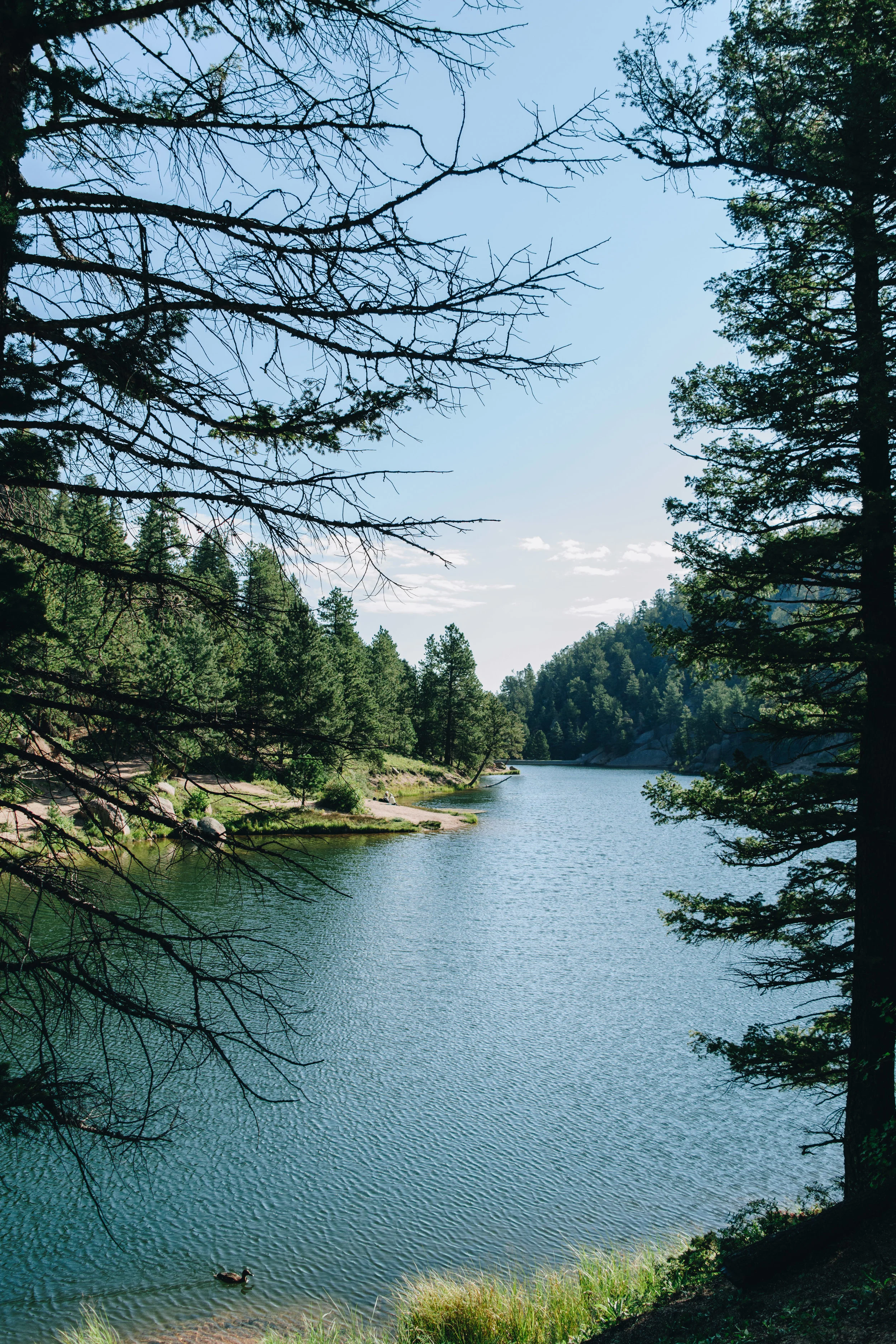palmer lake-20.jpg