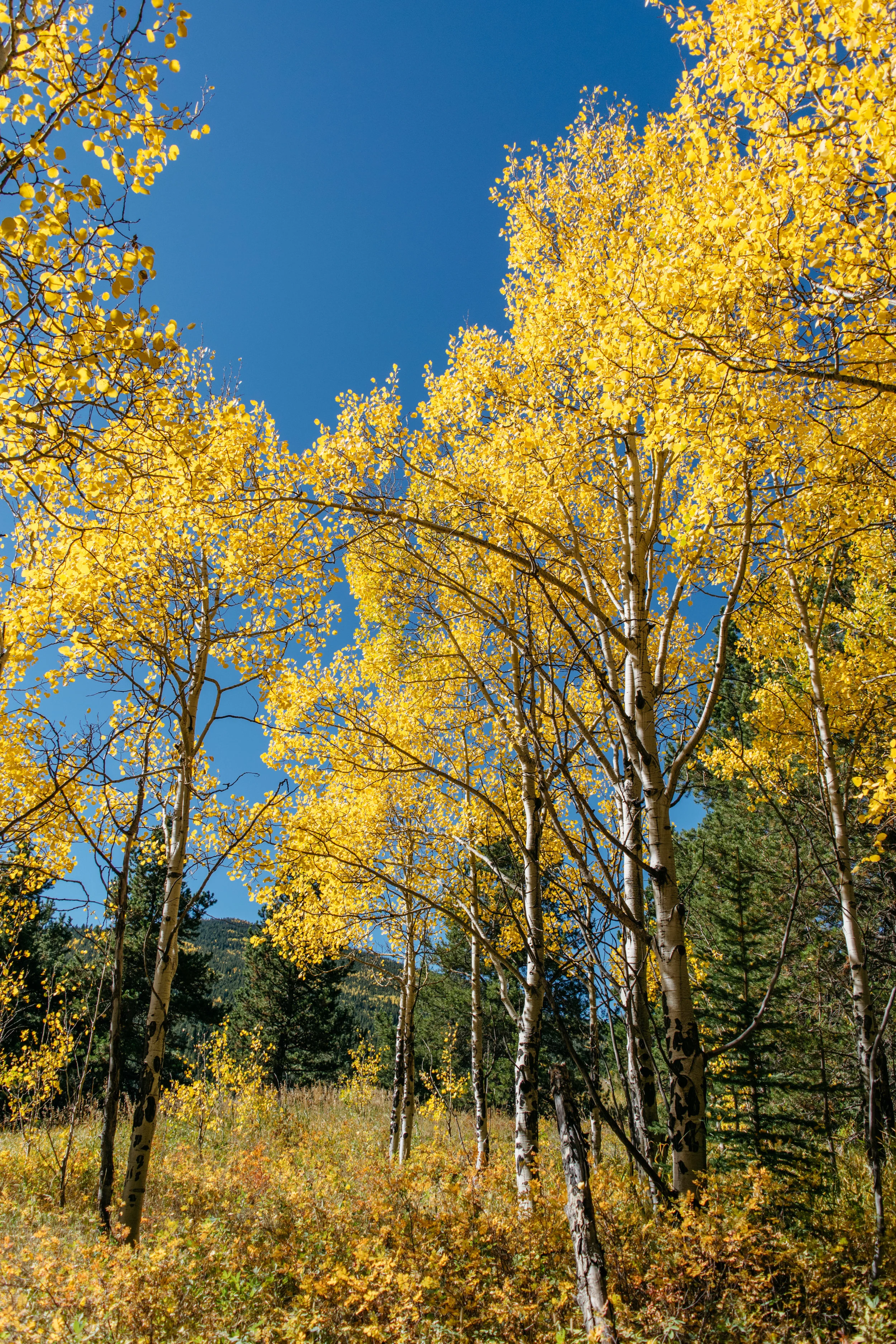 First Day of Fall