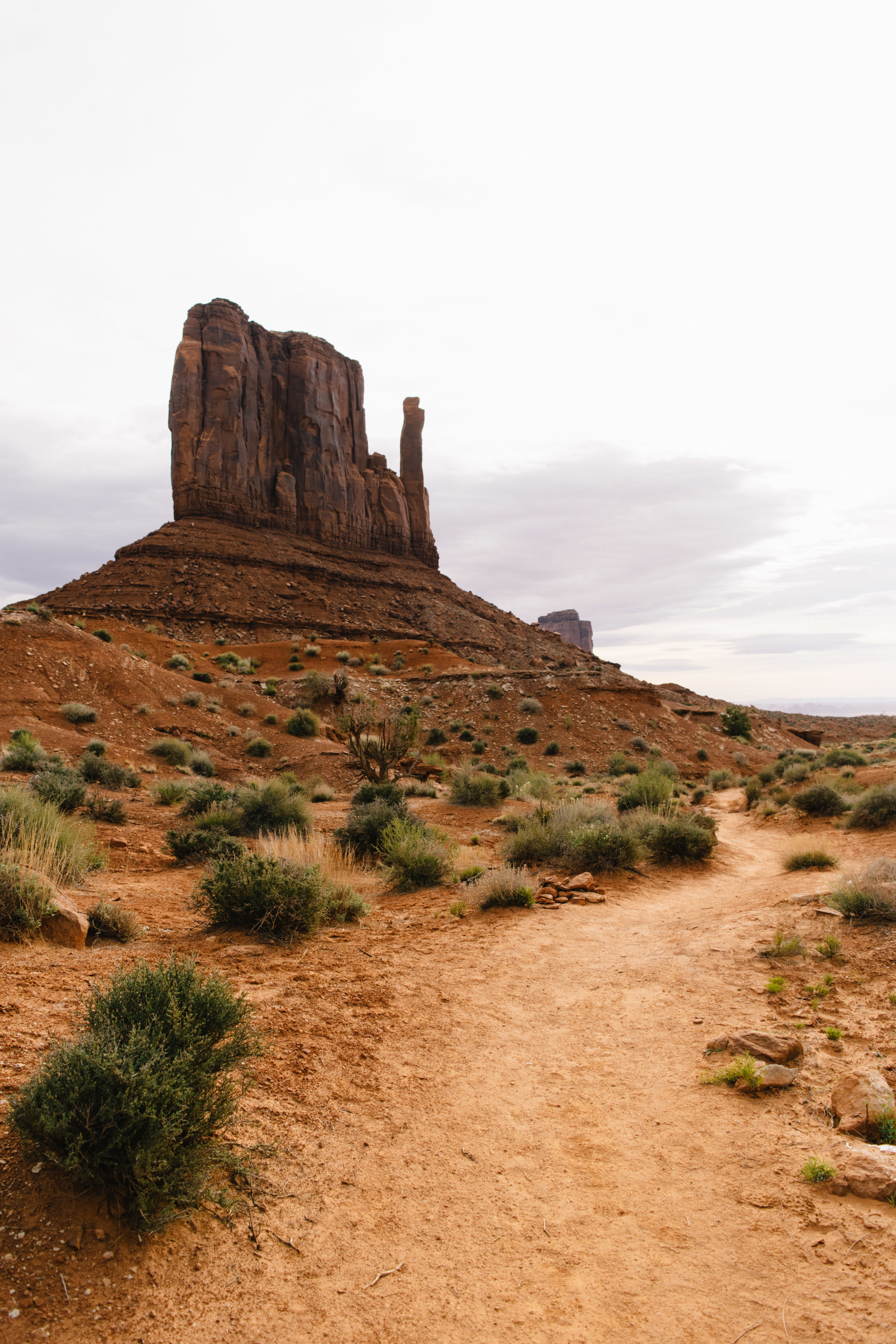 Wildcat Trail